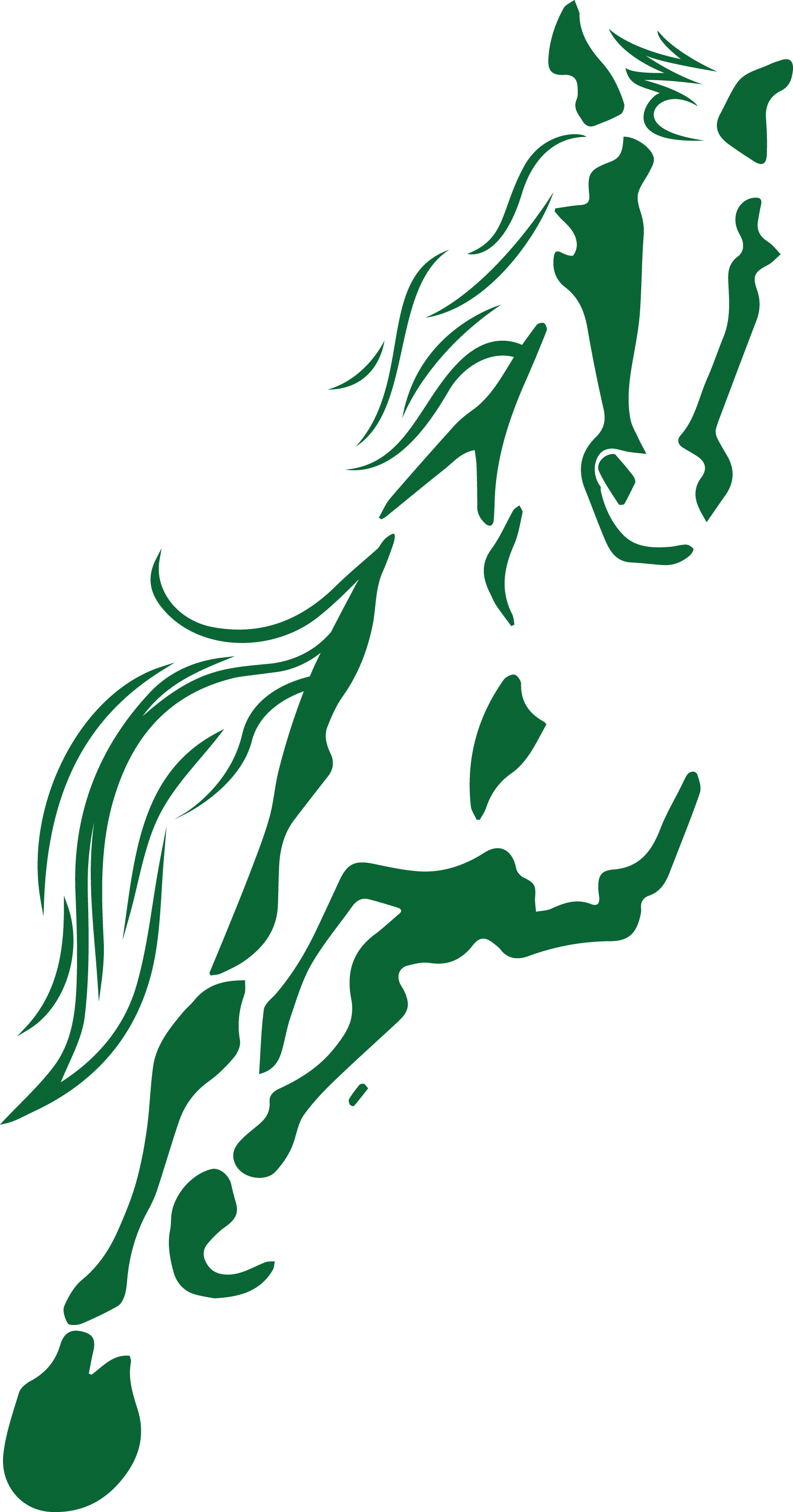 Eisinger Design - Redmond HS Branding