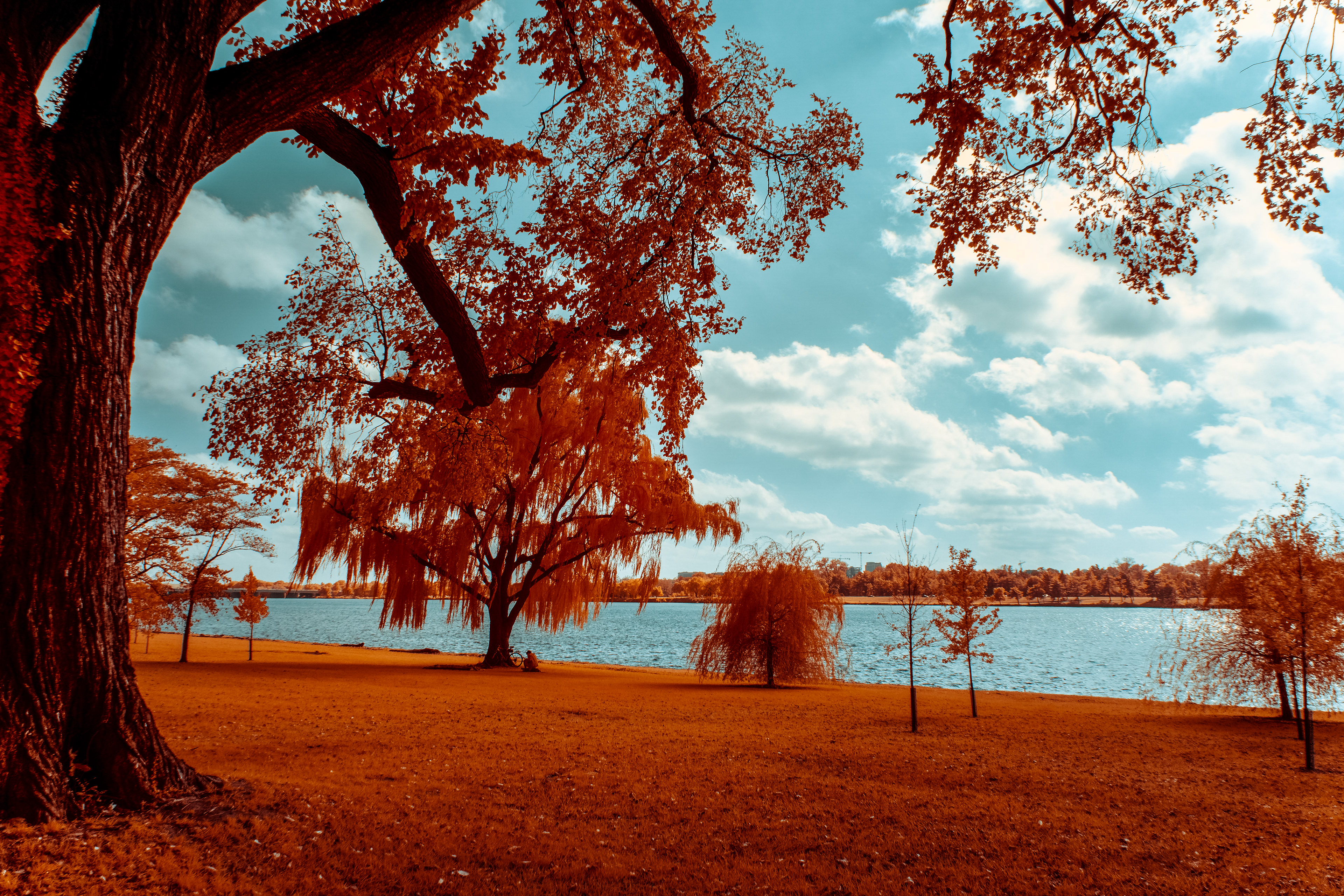 Washington DC