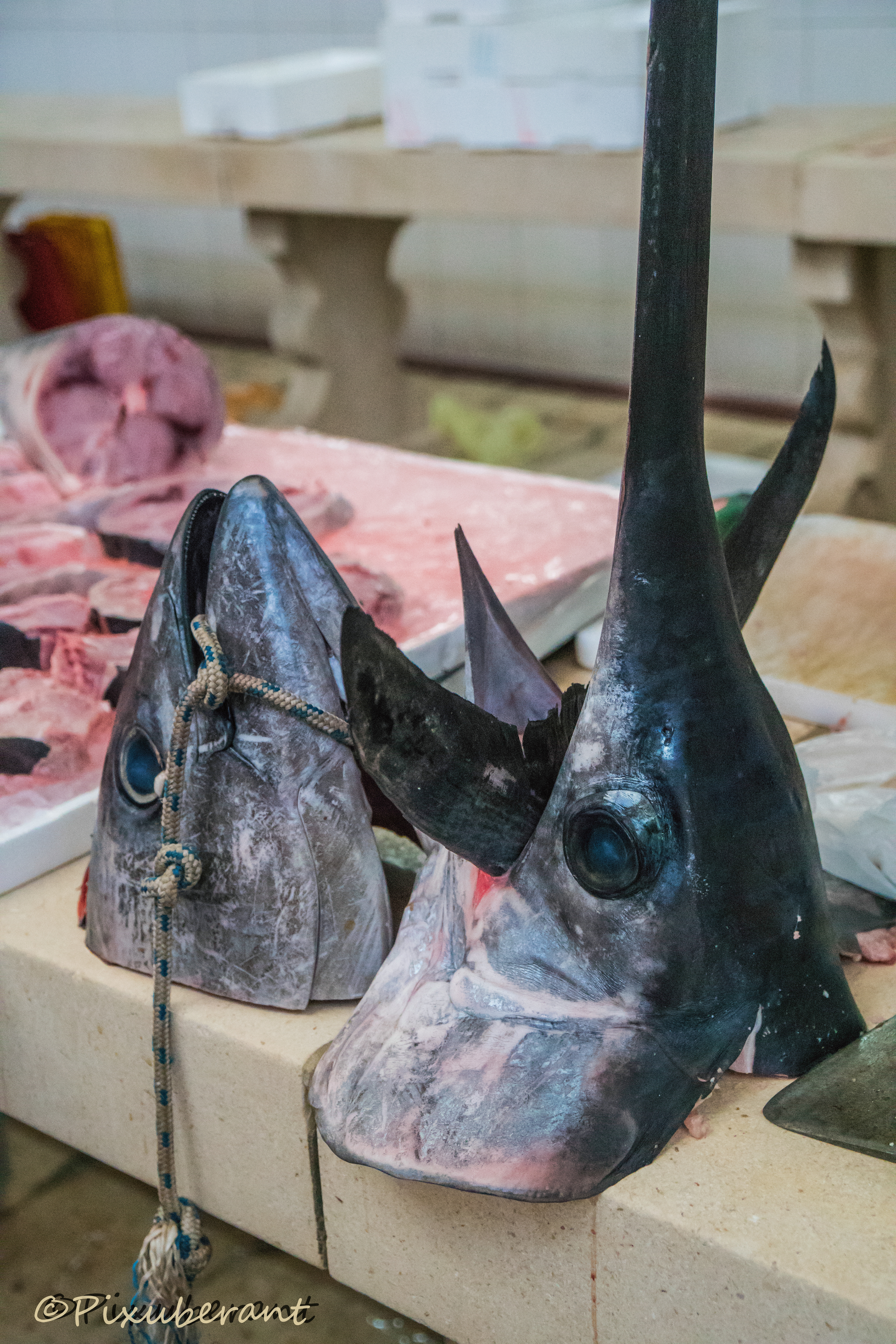 Fish market art