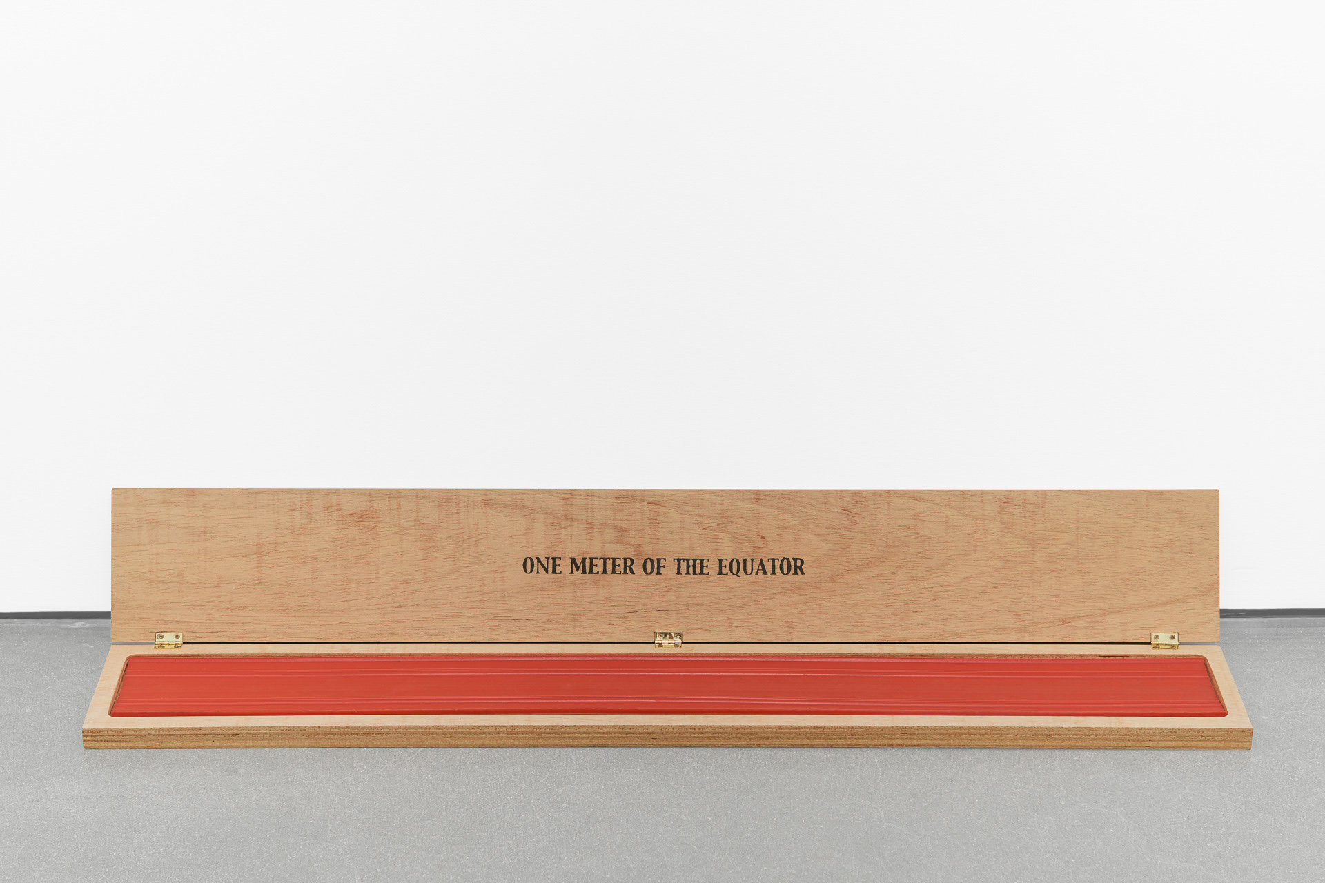 Manuela Ribadeneira 'One Meter of the Equator'