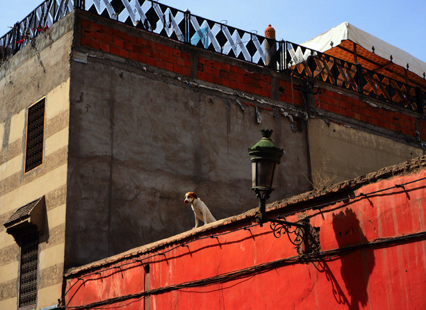 Marrakech, Morocco.