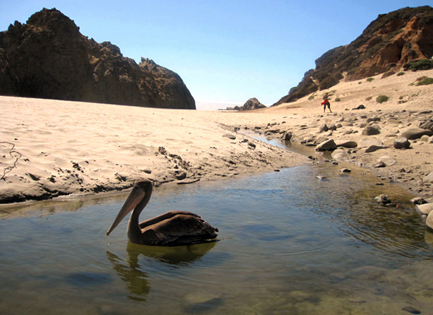 Big Sur, California.