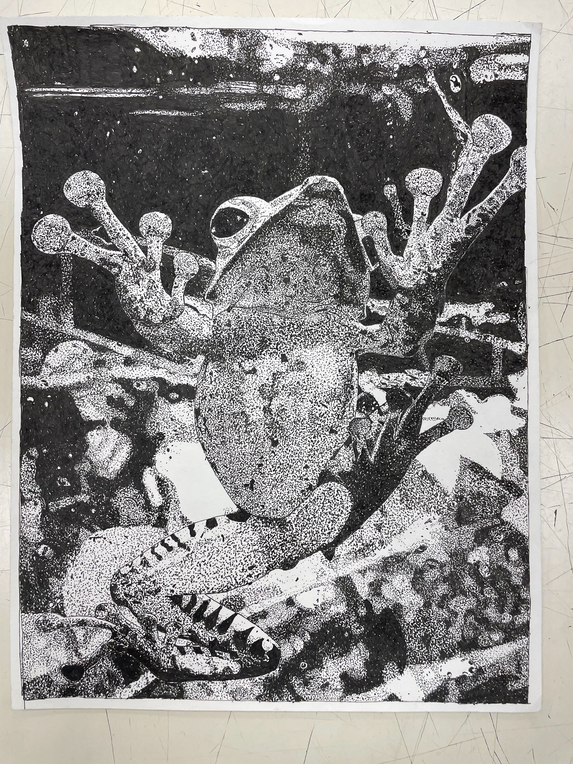 Taylor Coney, Grade 11, Central Noble Jr Senior High School. Stippling, Drawing & Illustration. Abbey Mault, Educator.