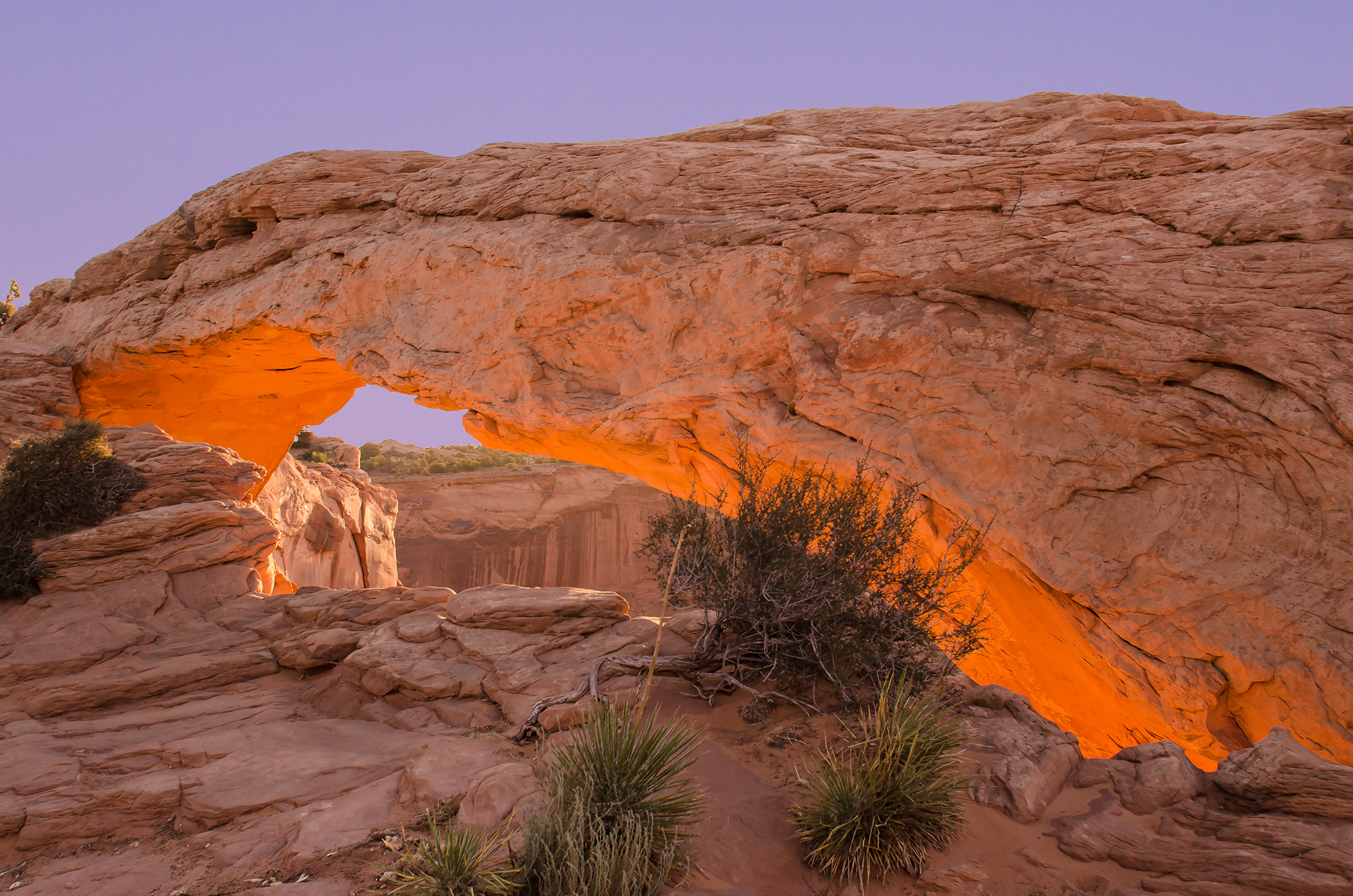 "Morning Glow" | Canyonlands National Park