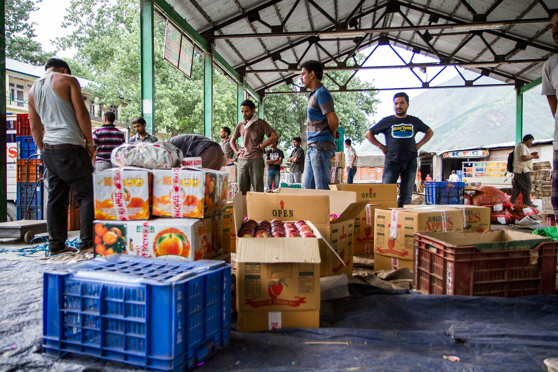 Bhuntar, Himachal Pradesh, India. Workers load boxes of recently picked apples for shipment via trucks. Taken August 30, 2012.