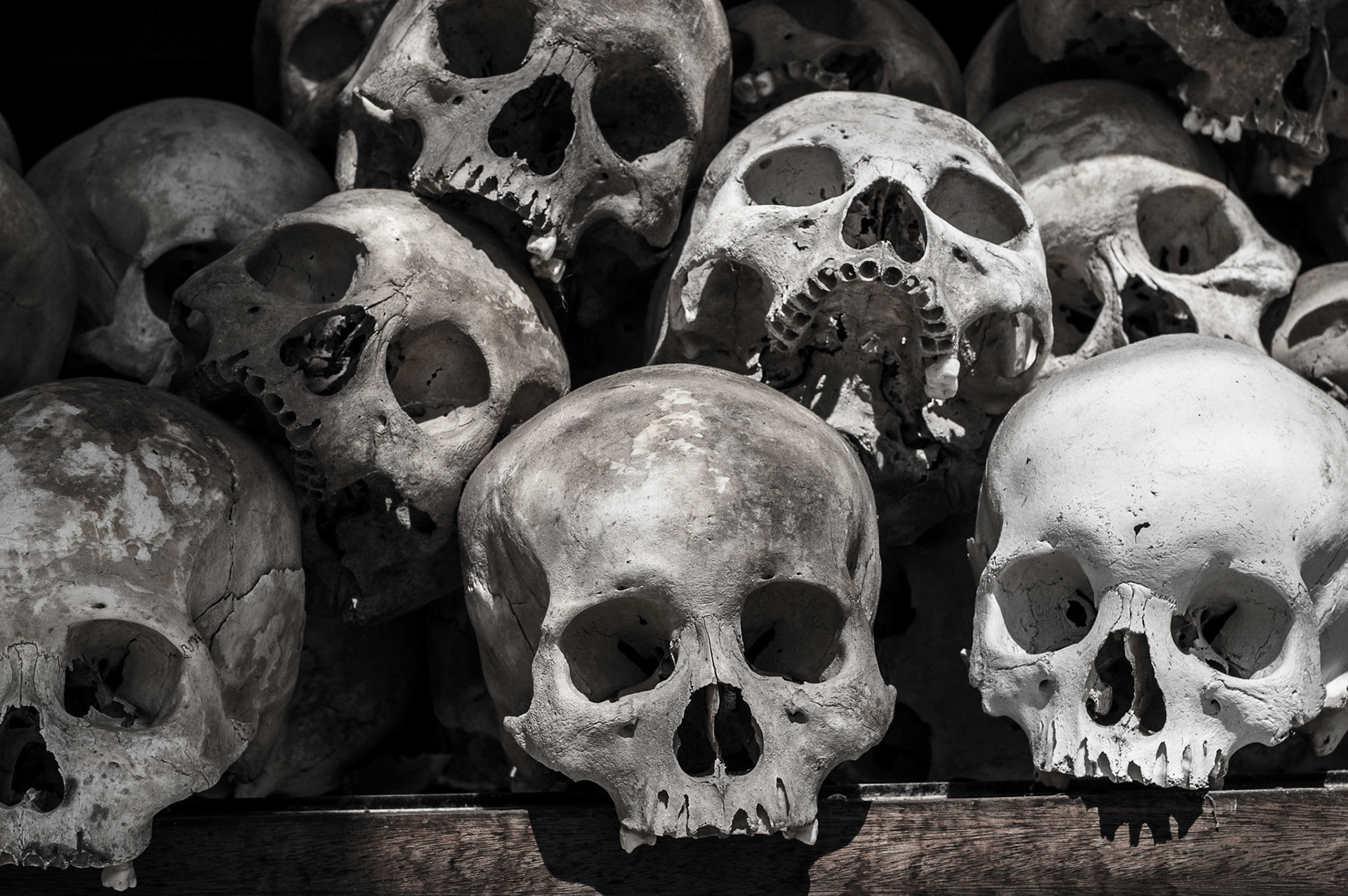 Killing Fields