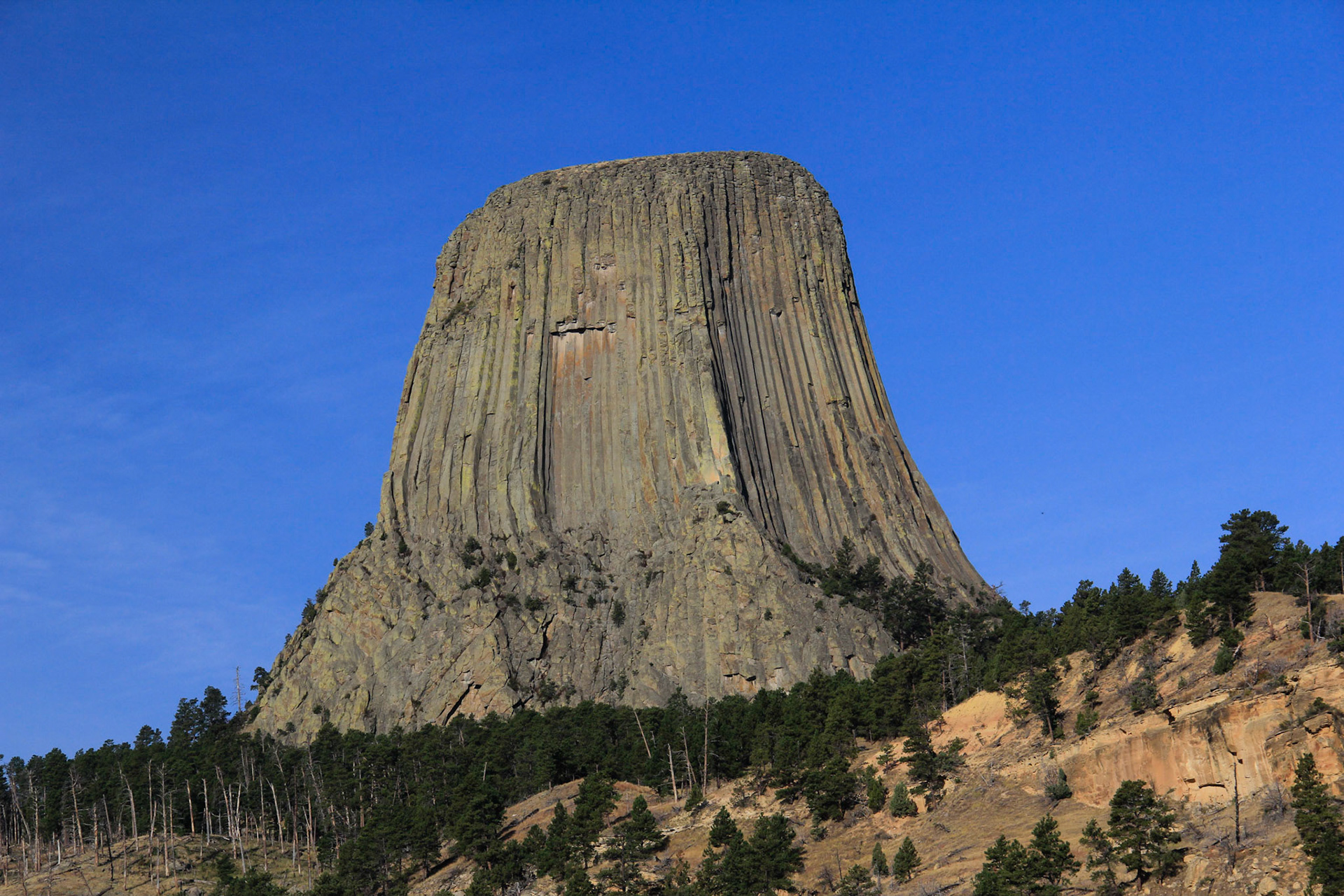 Devil's Tower