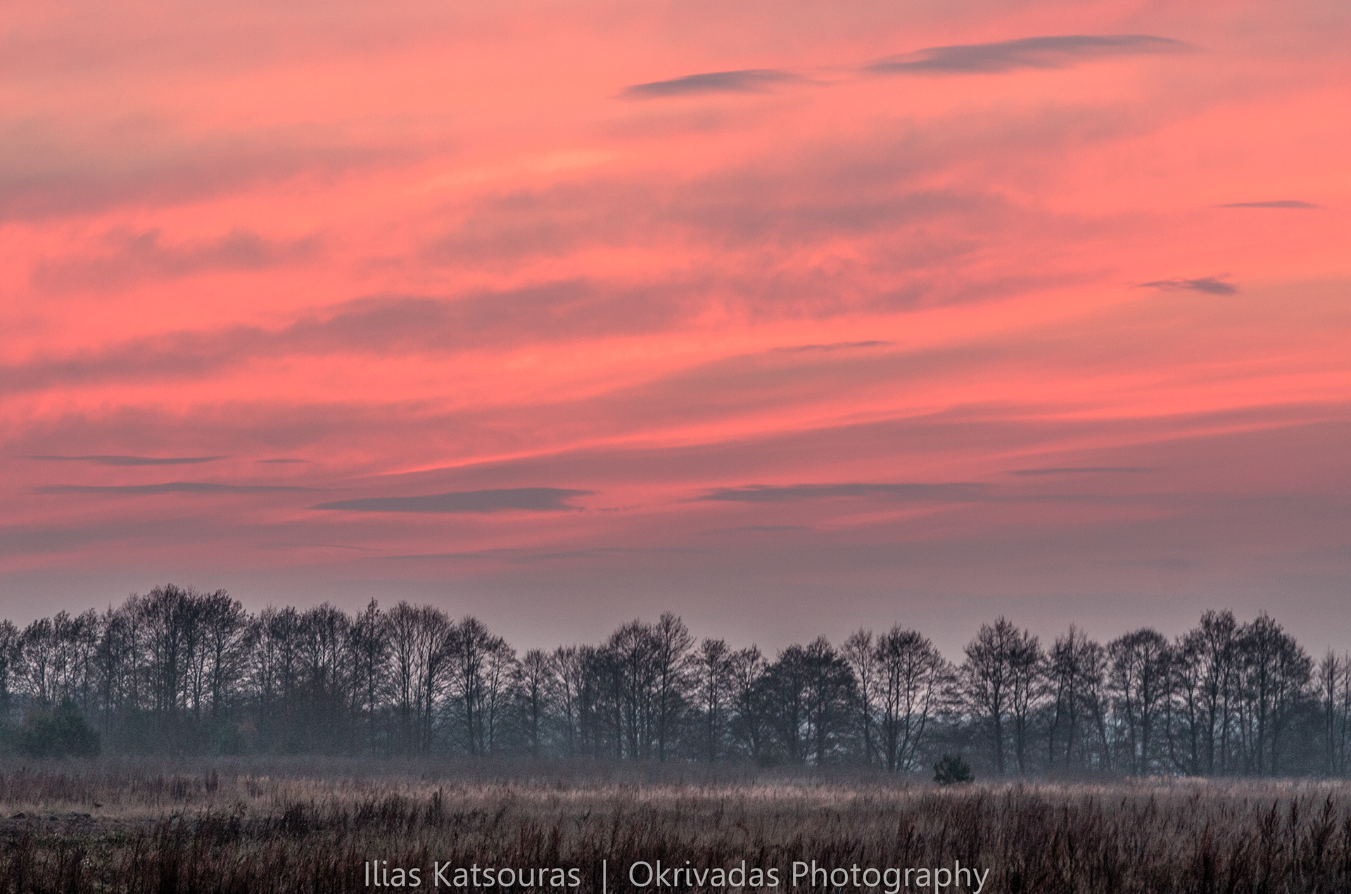 dusk lithuania landscape field trees σούρουπο τοπίο δέντρα λιθουανία