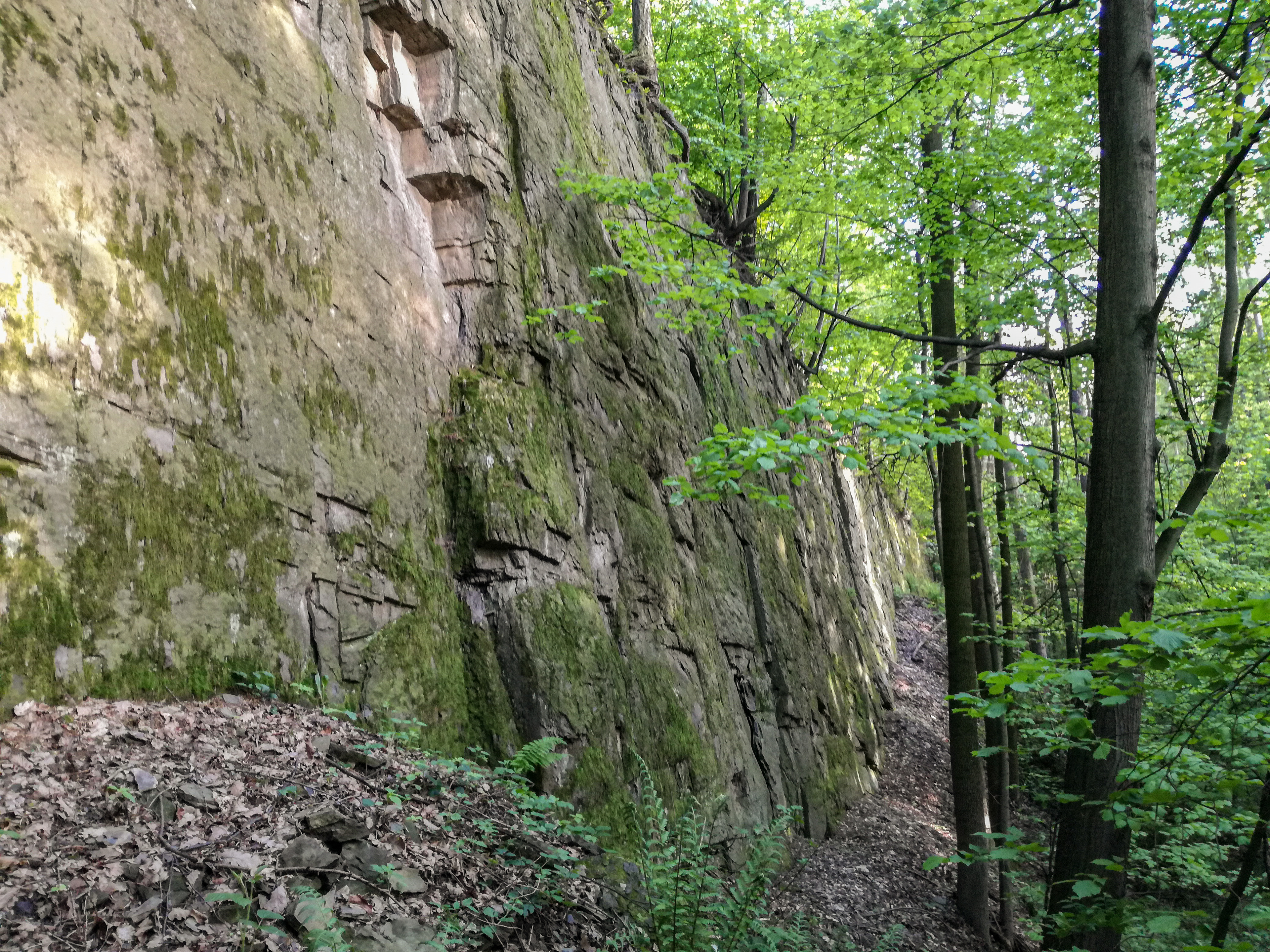 Skalní útvar Smolkov - Háj ve slezsku