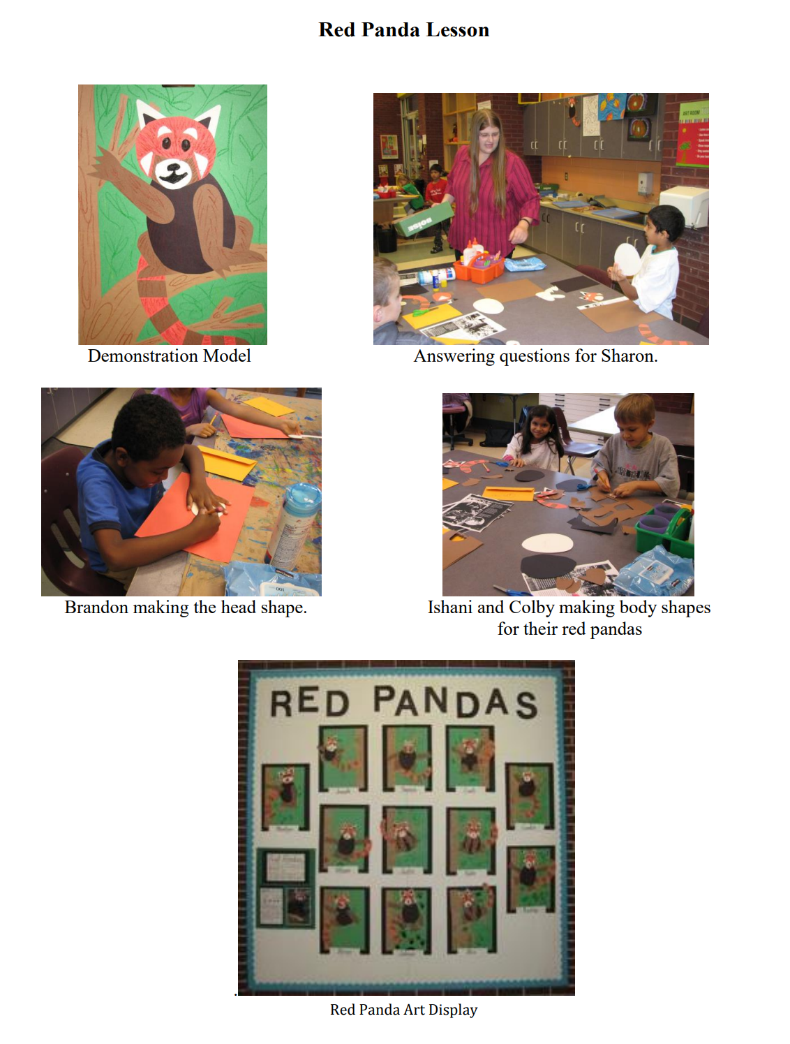 1st Grade Red Panda Lesson 1