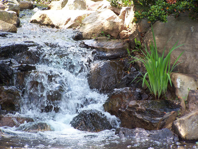 Rapid Falls