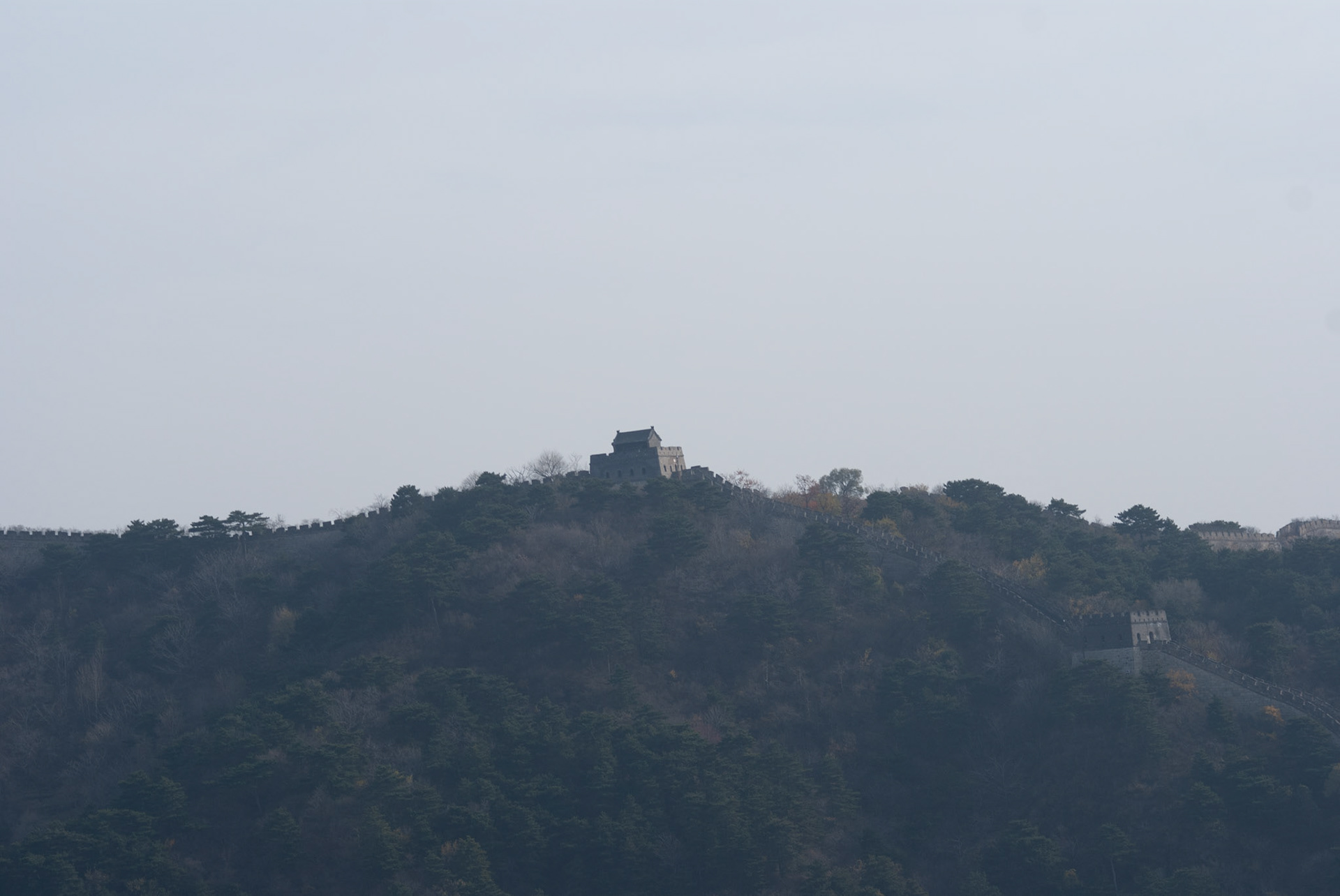 SONY DSC