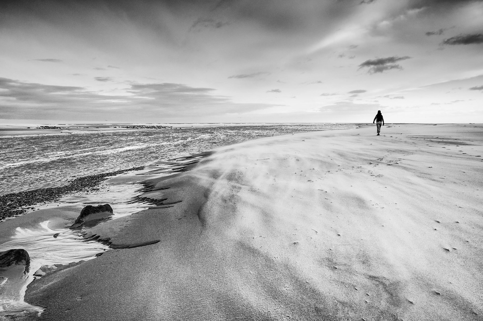 An early evening stroll into a bracing wind on the beach at Newburgh, Aberdeenshire. I was looking for the seals which bask on the sands here, but the sand being blown across the beach in the strong wind couldn't help cacthing my attention. The conflict between the flow of the River Ythan with the rising tide was etching patterns into the sand at the water's edge. And the seals? You can just make out two groups of seals on the far shore of the river to the left of the image, just below the horizon.