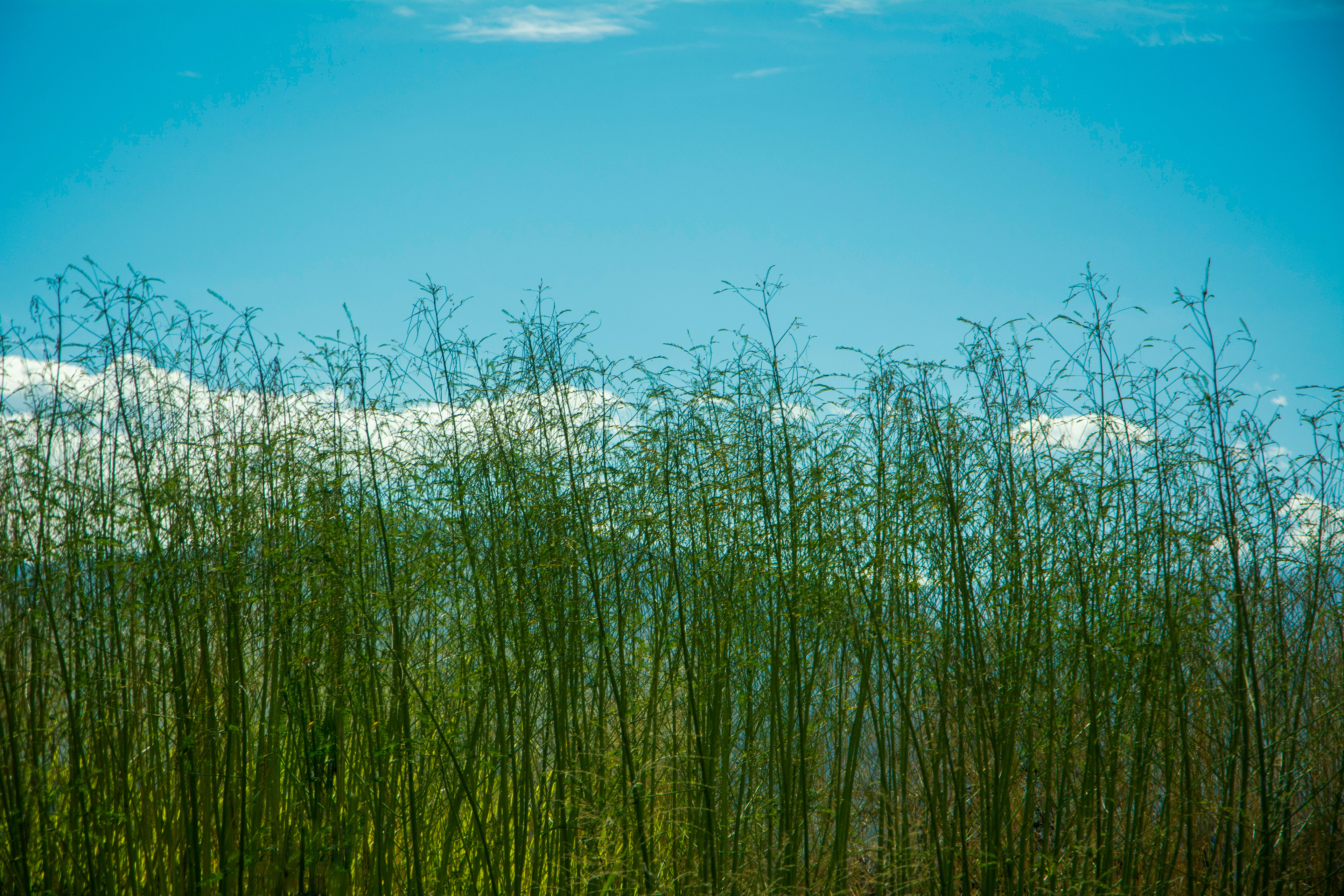 Paisaje