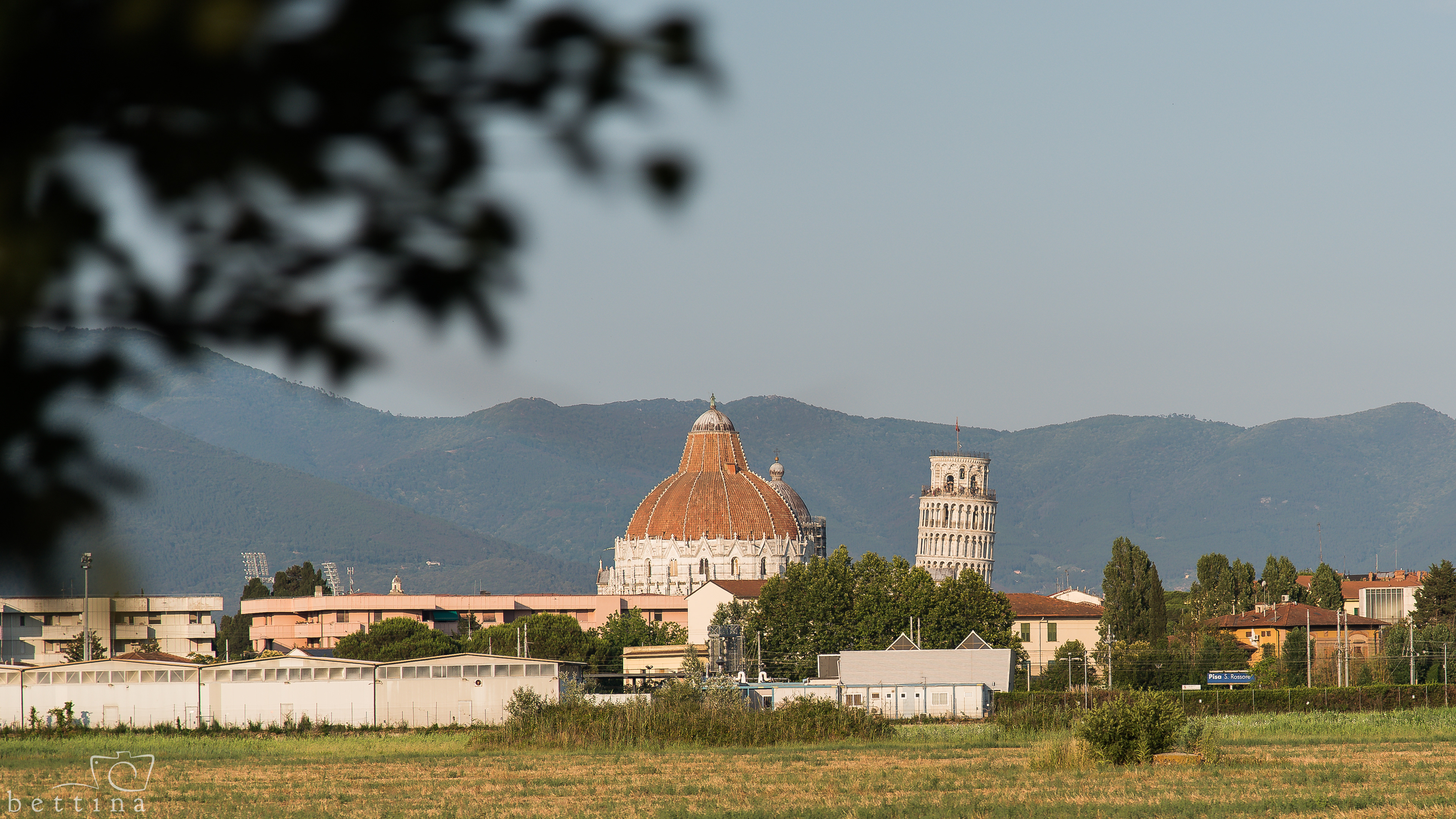 Pisa