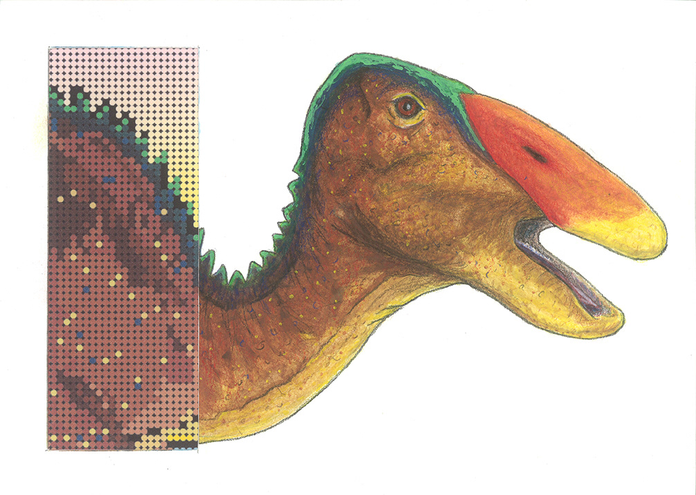 Edmontonsaurus 7" x 5"