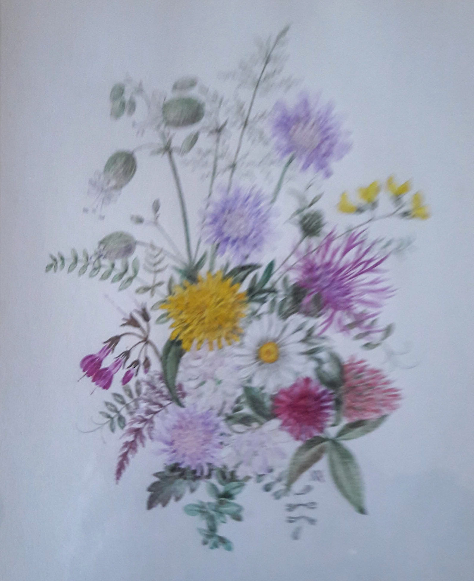 Spaziergang am Gelände der Living City Viehofen