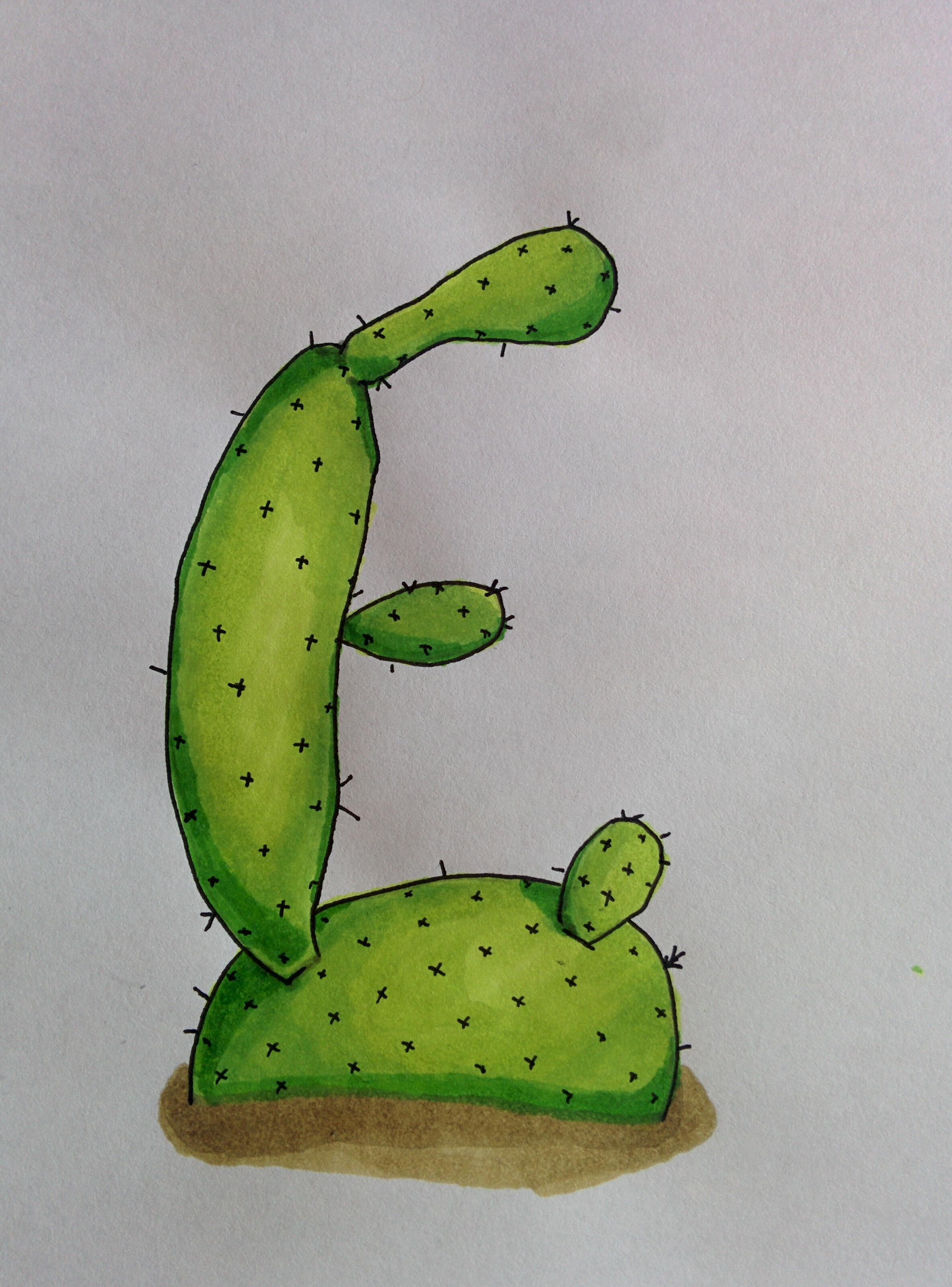 cactus by o henry