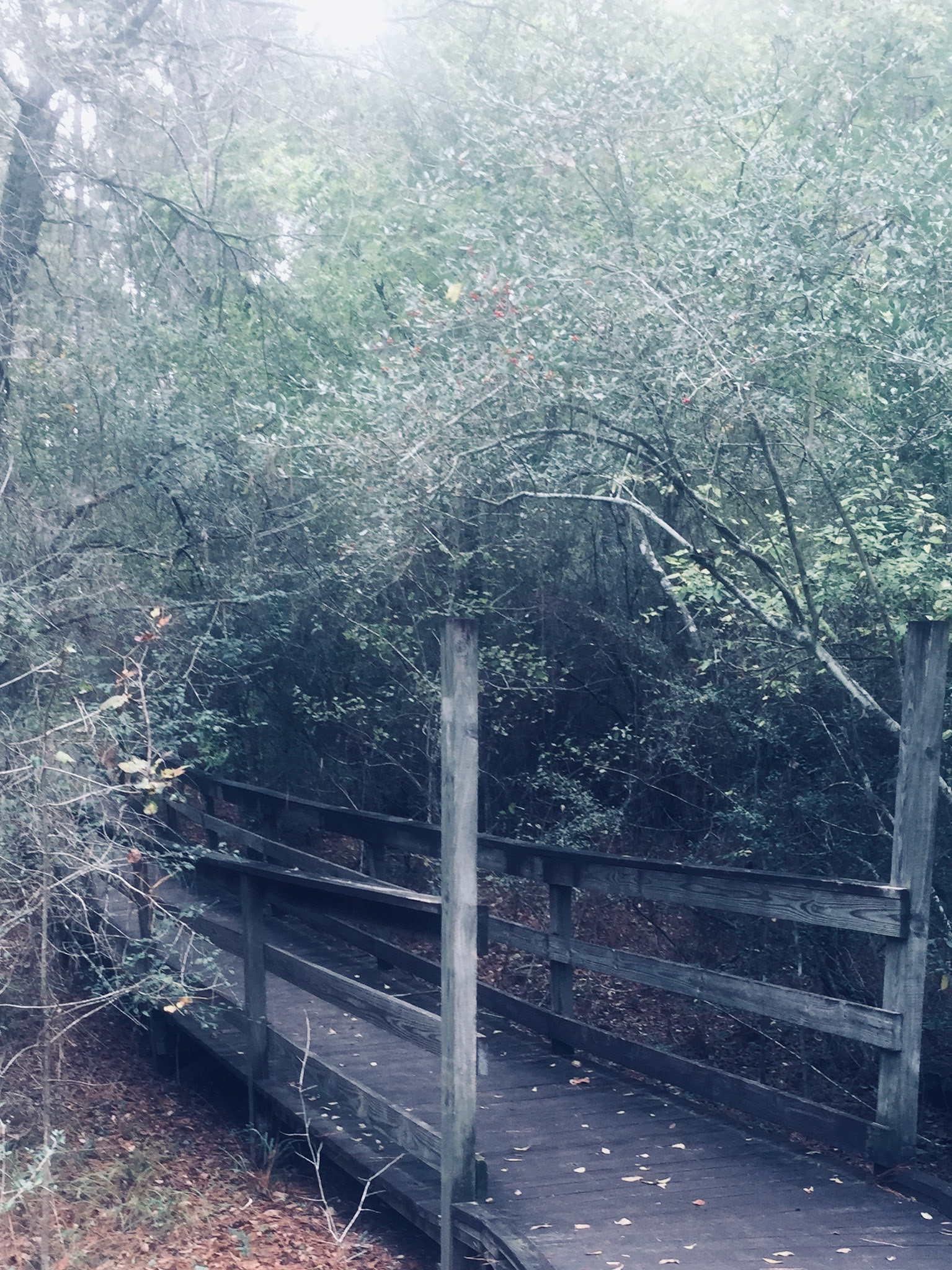 Bridge Crossing