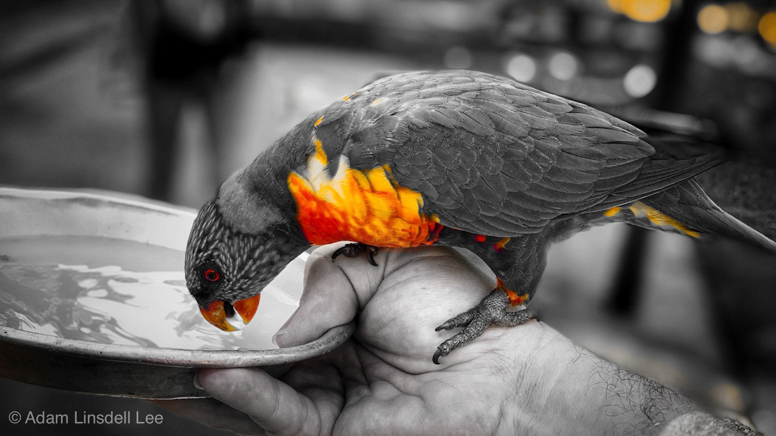 Processed with Focos