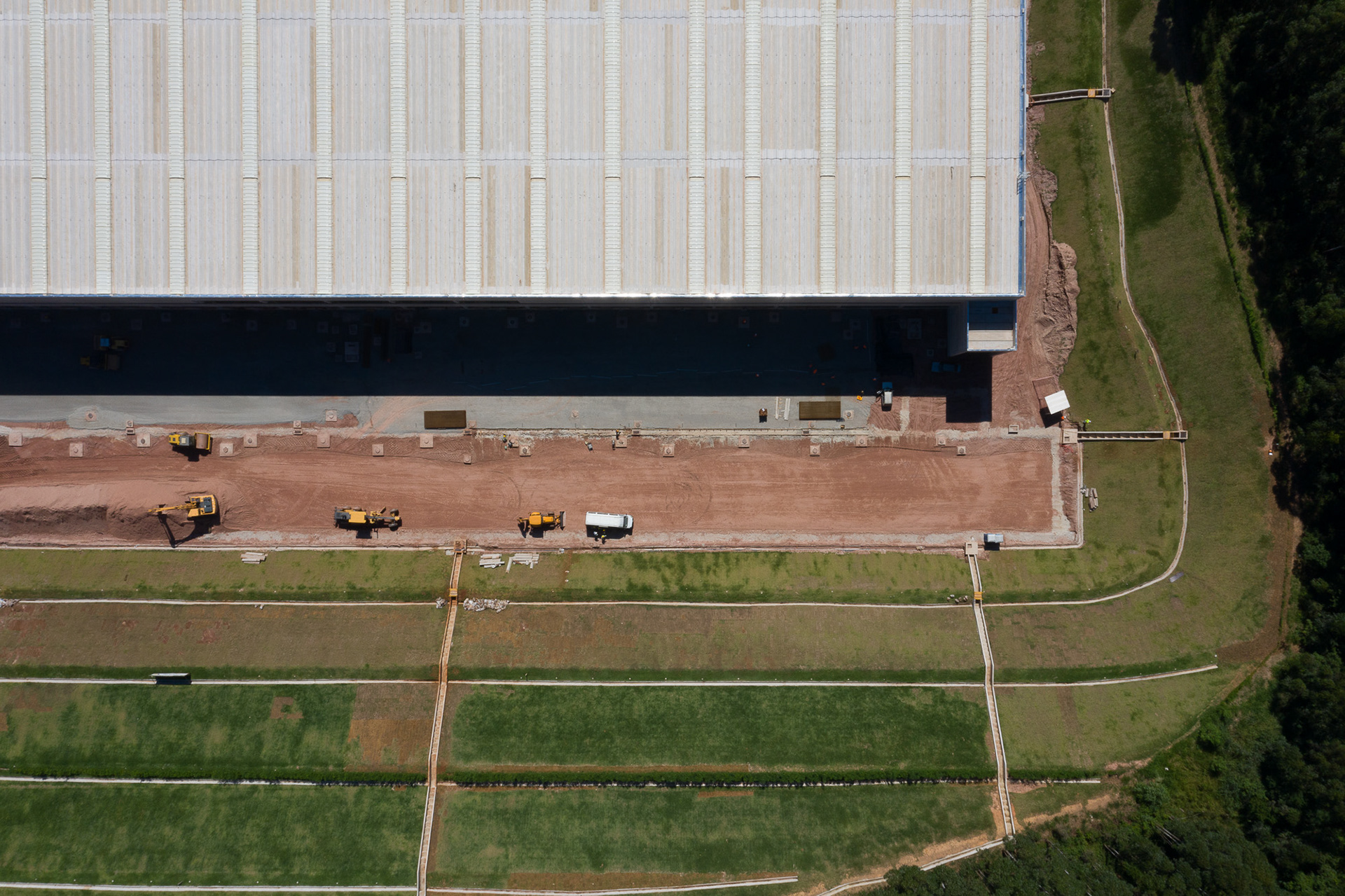 Icon Realty | Grupo MONTO