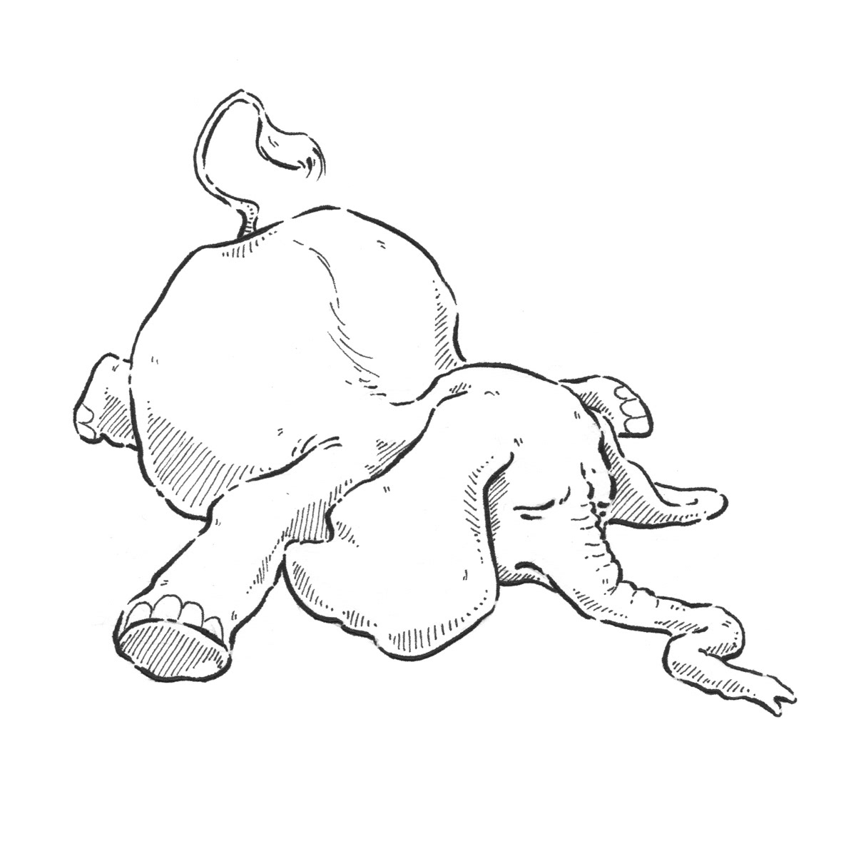 sad elephant illustration, trauriger Elefant Illustration, analog illustration