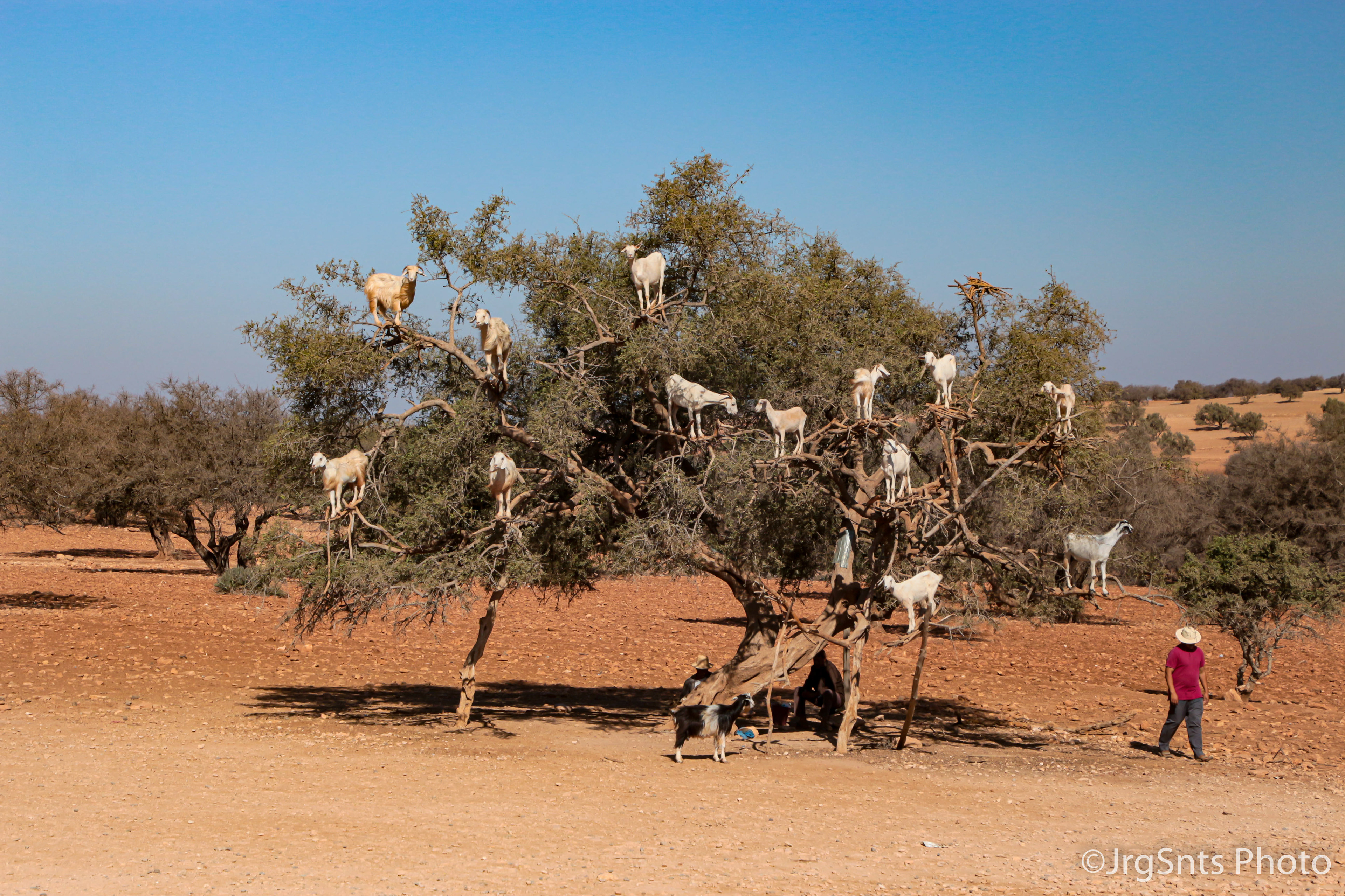 Morocco (Marrrocos)
