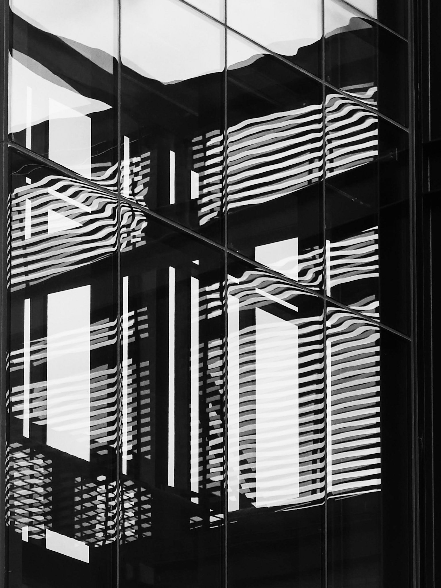 1.19.2021 Light & Reflection