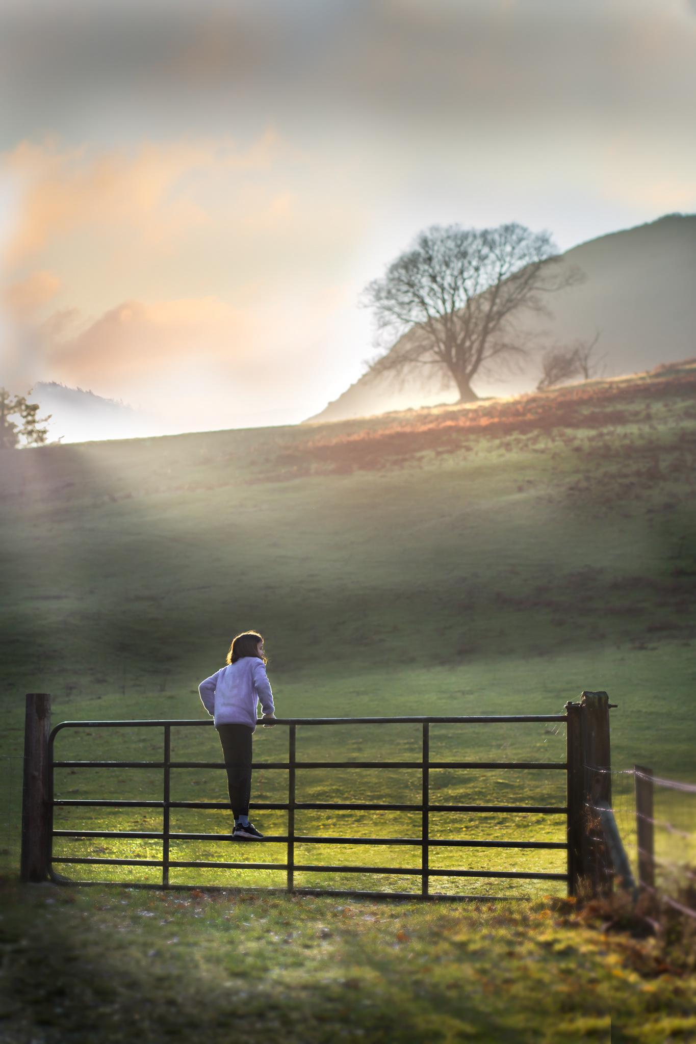 Seeking at Lough Dan