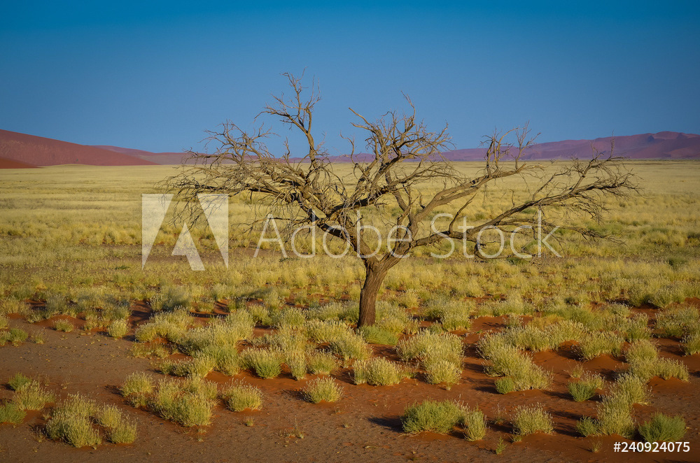 fotografie portfolio von ronny gängler  wüste