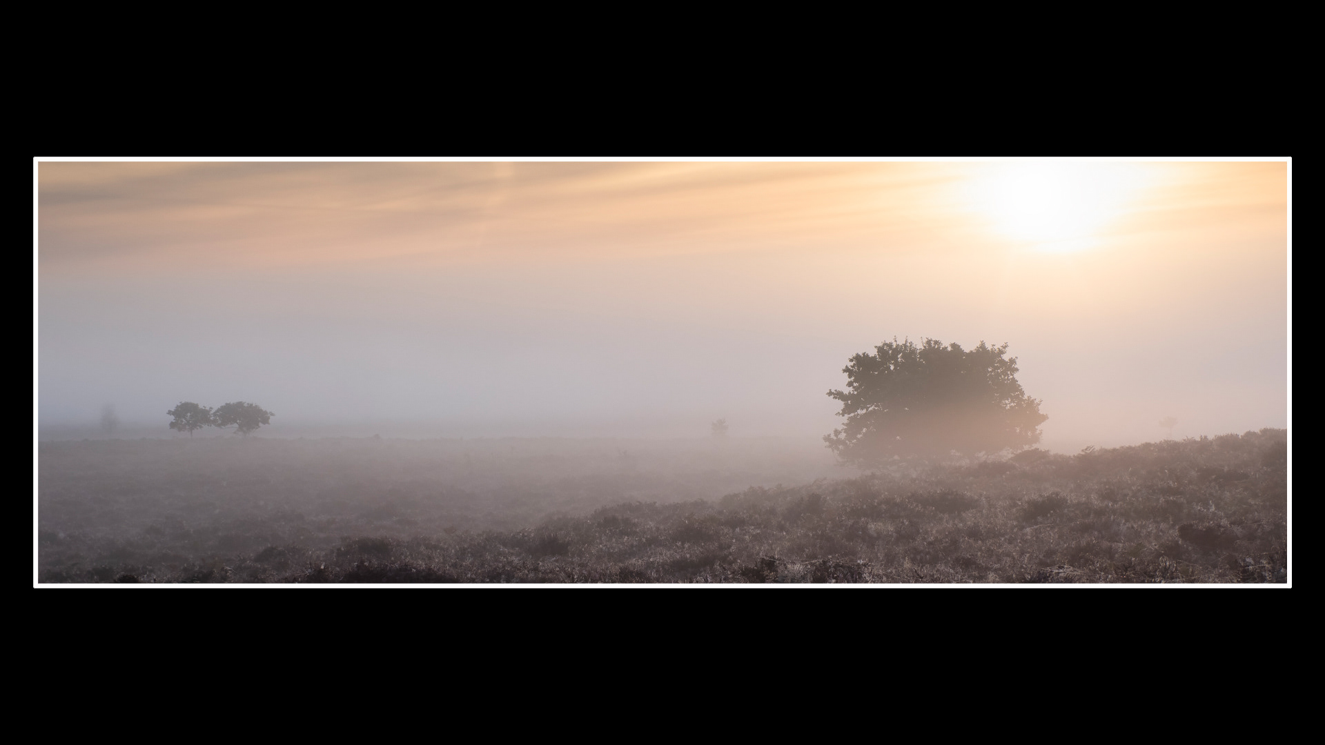 Roydon Common (2)