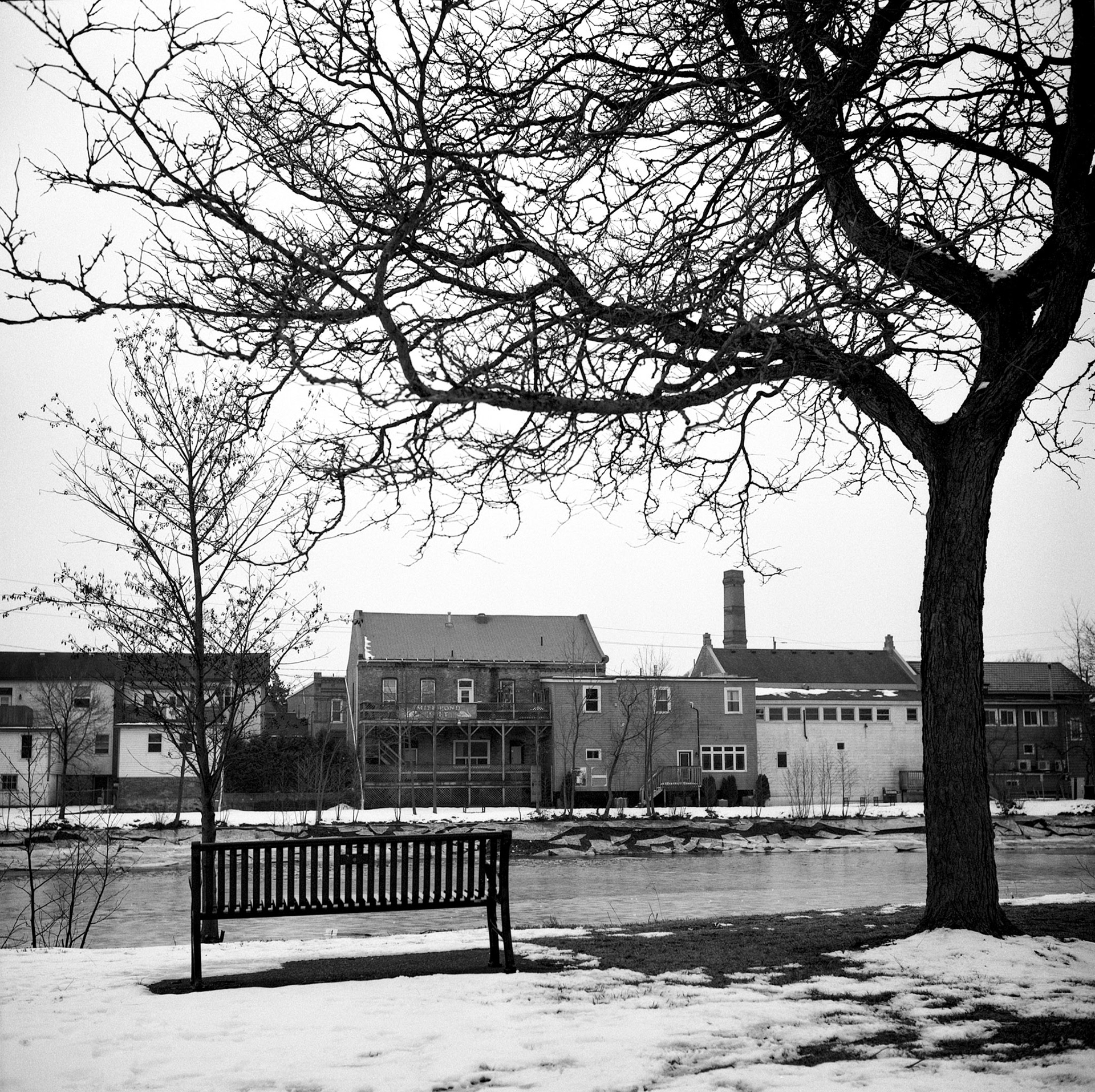 Ayr