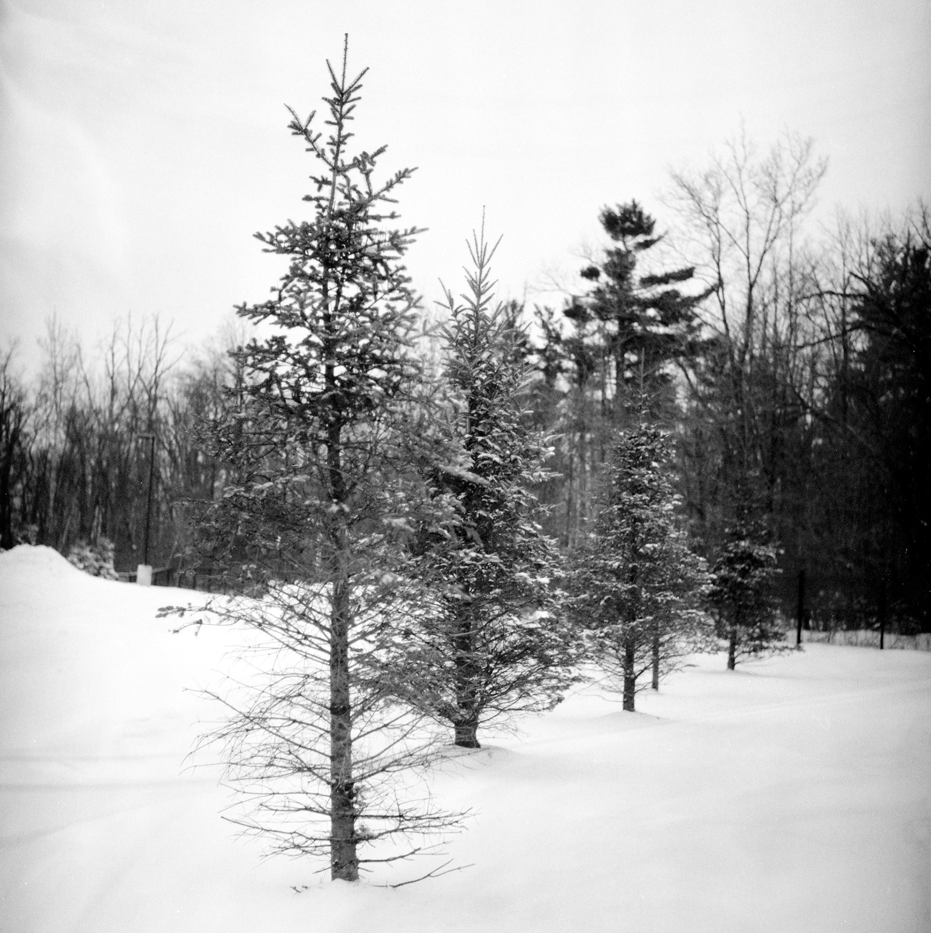 Church garden in winter