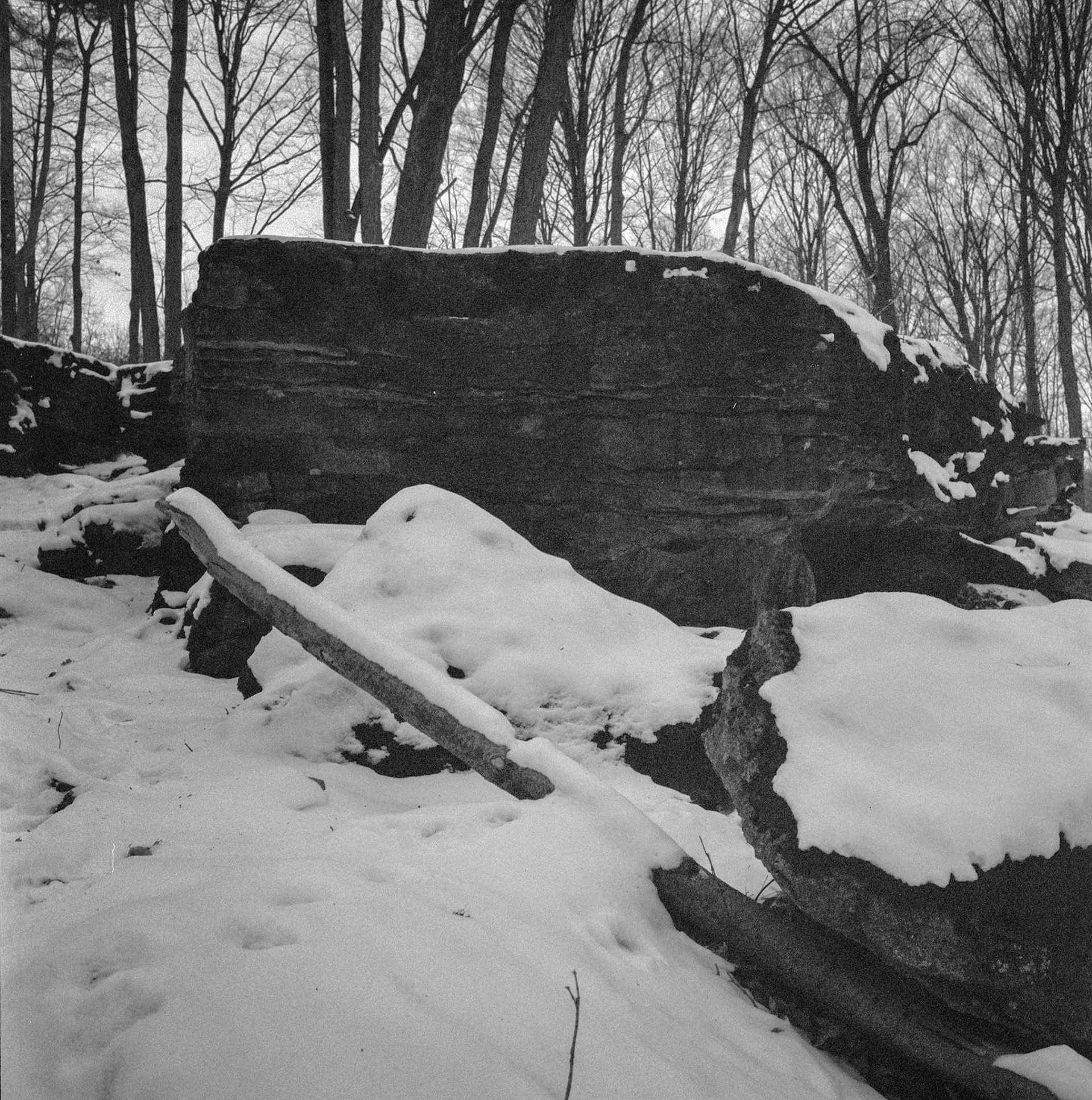 Dundas Valley