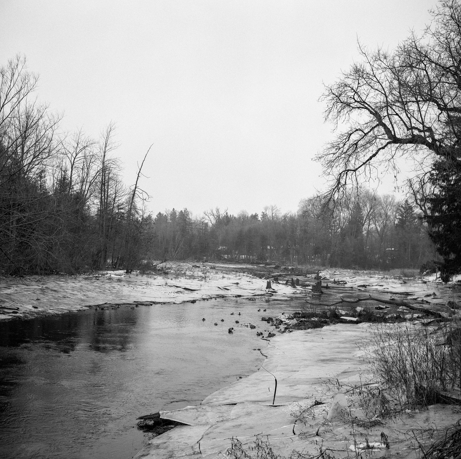 Frozen River