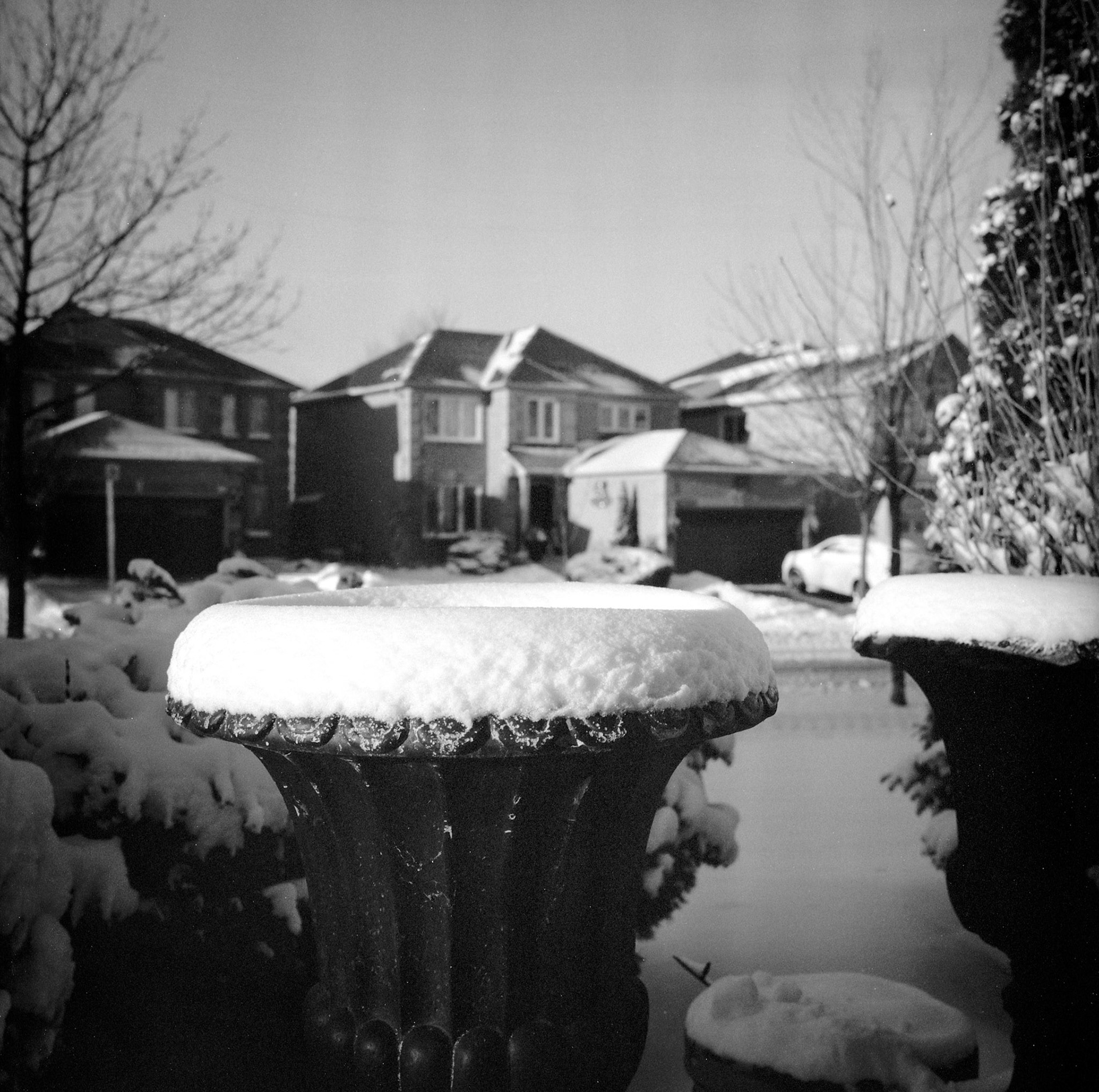 snow covered planter