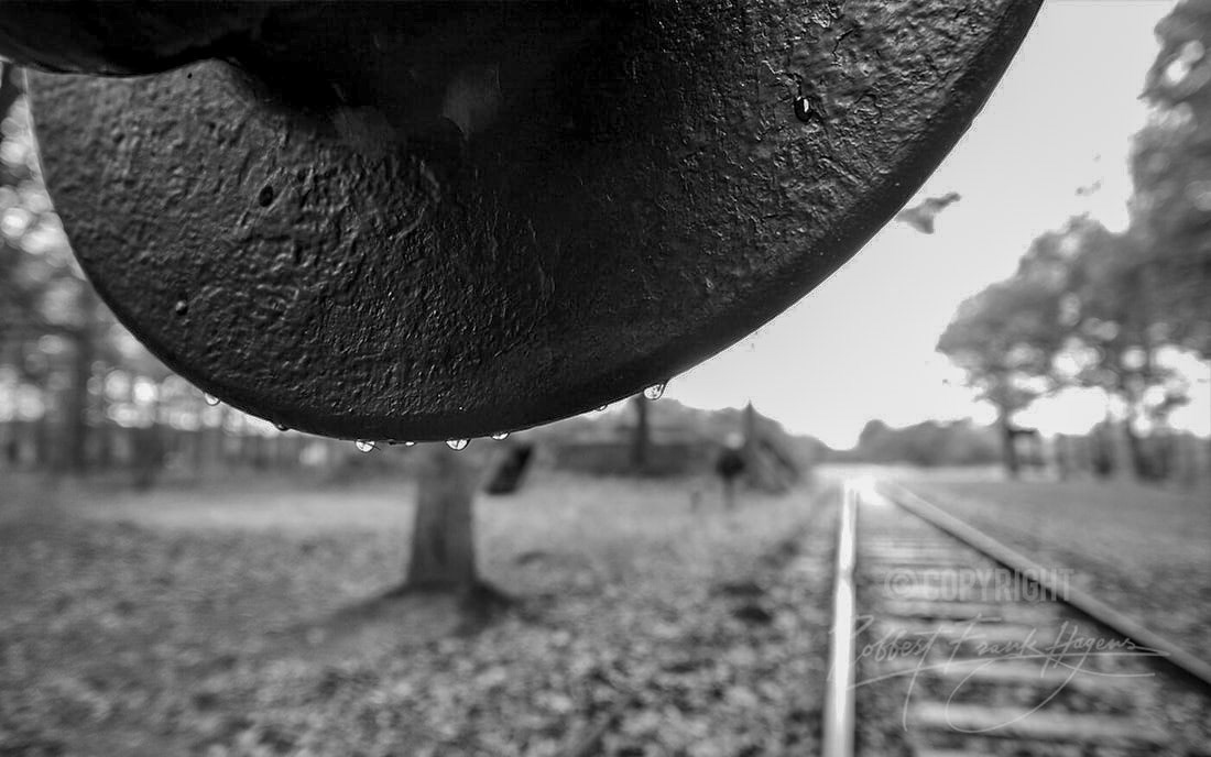 © Robbert Frank Hagens | Art in Media