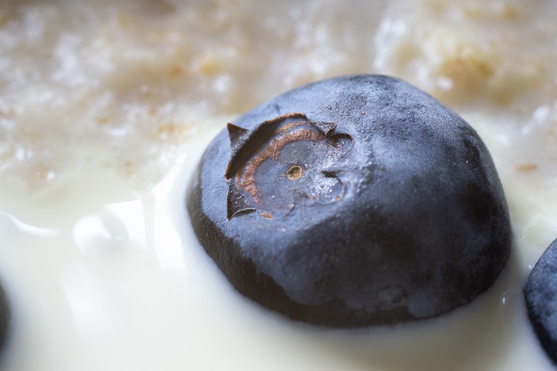 139/365 Blueberry in my porridge!