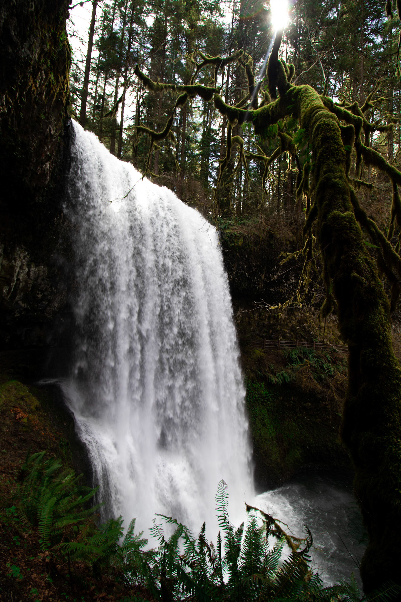 Silver Falls, Oregon