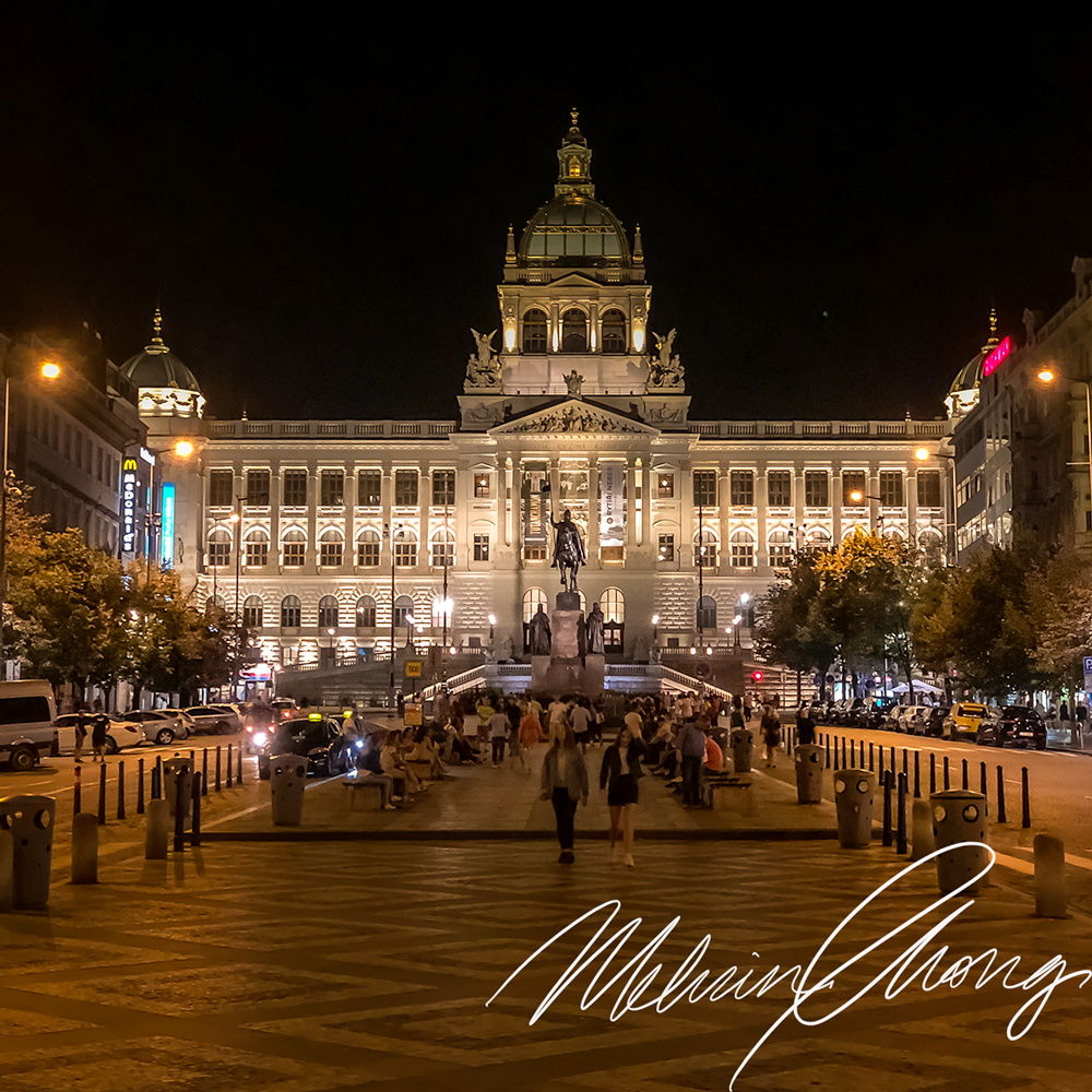 © 2019 | National Museum | 7888