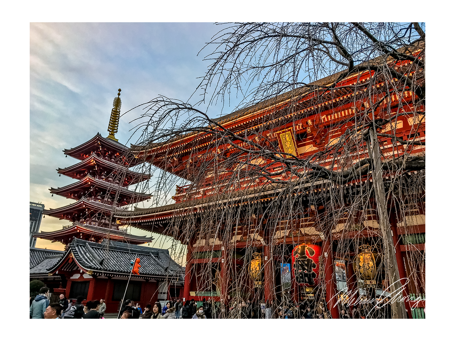 © Melvin Chong Dec 2017 | Asakusa Temple, Tokyo | 6276