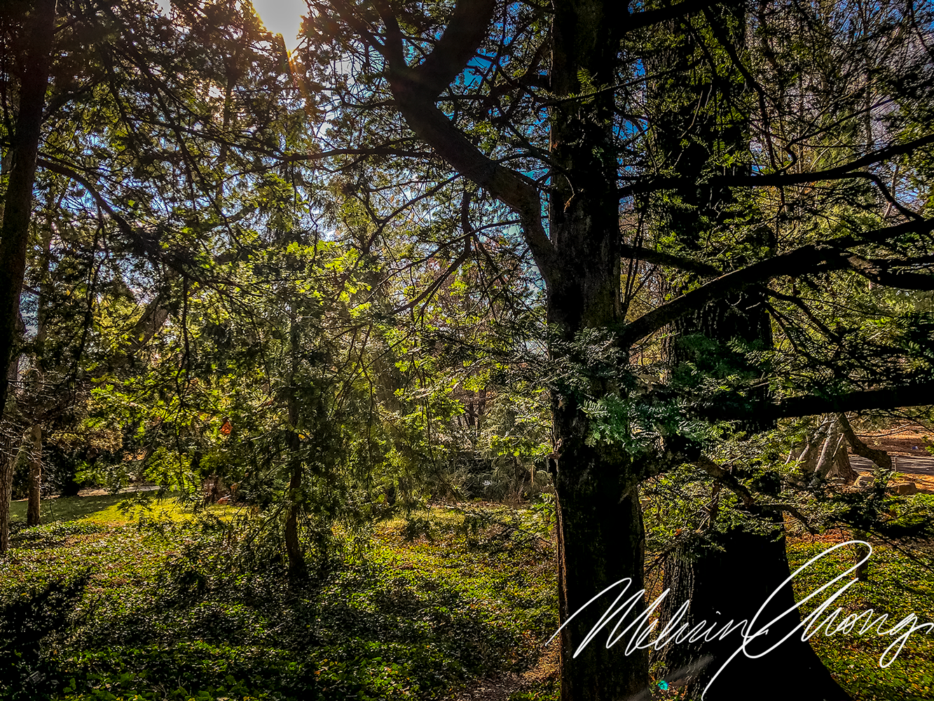 © 2019 | 3096