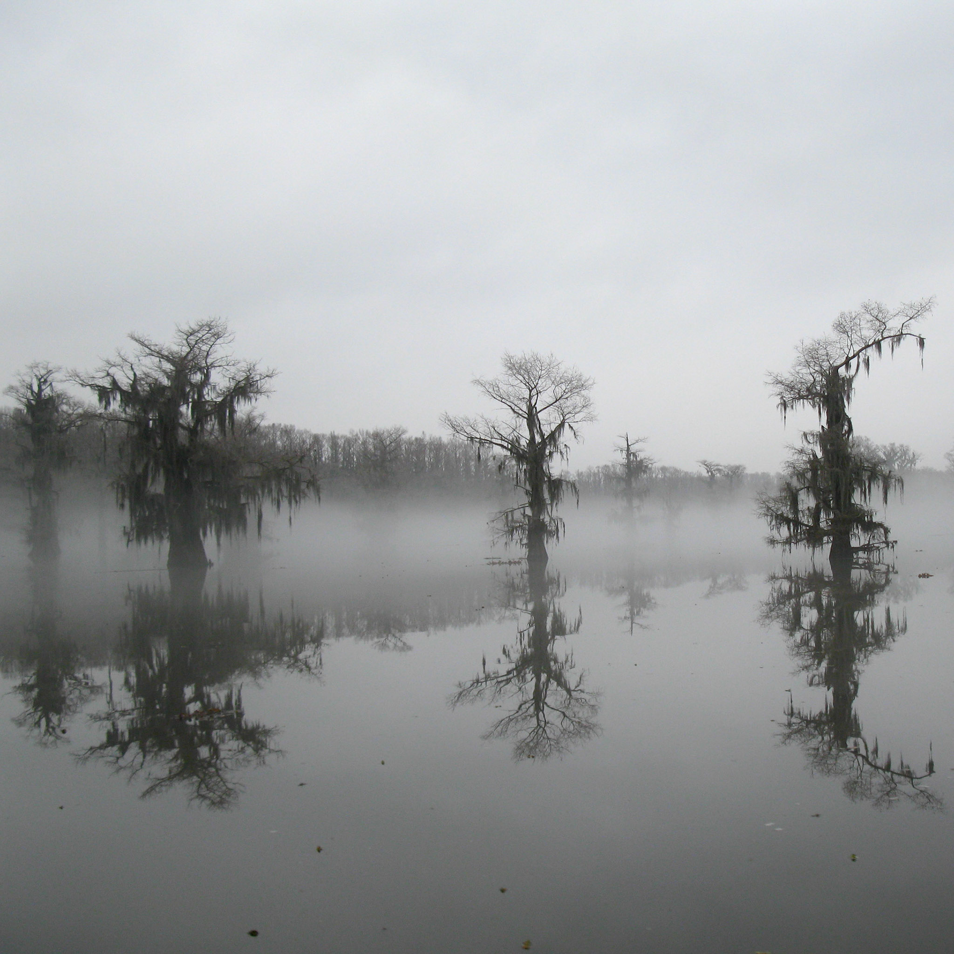 Caddo Lake