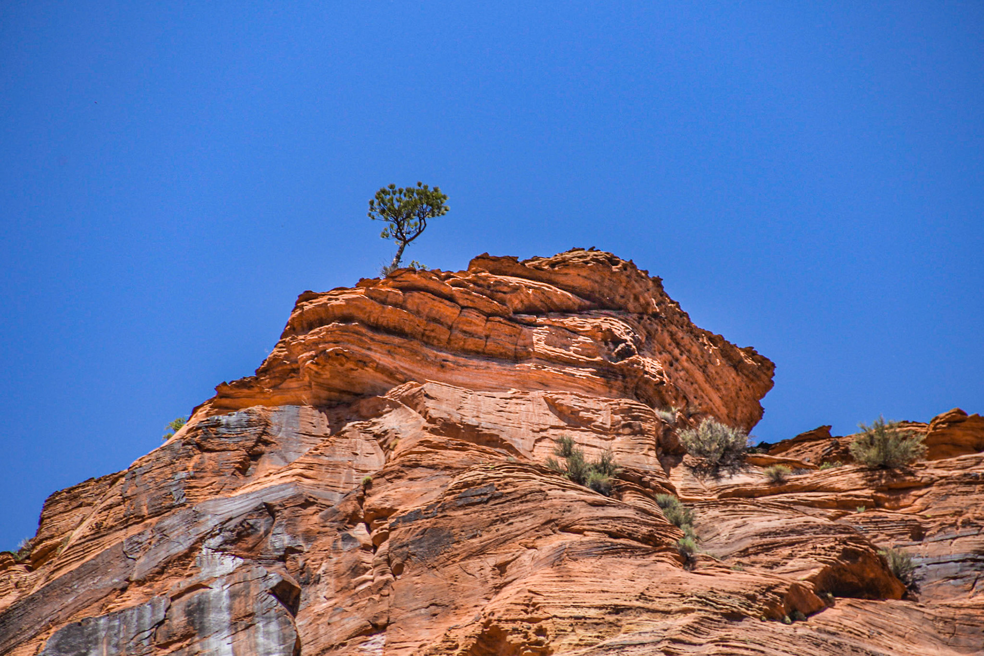 Utah 2016