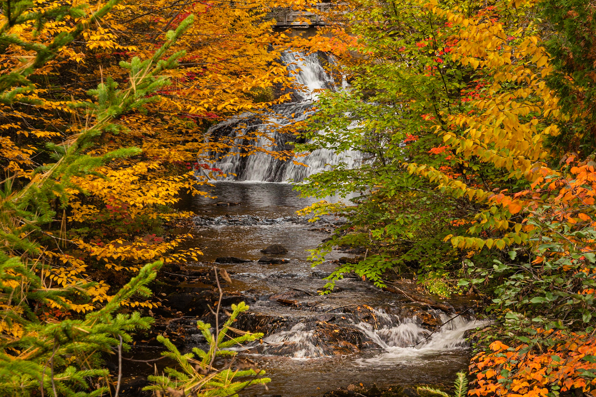 Chutes