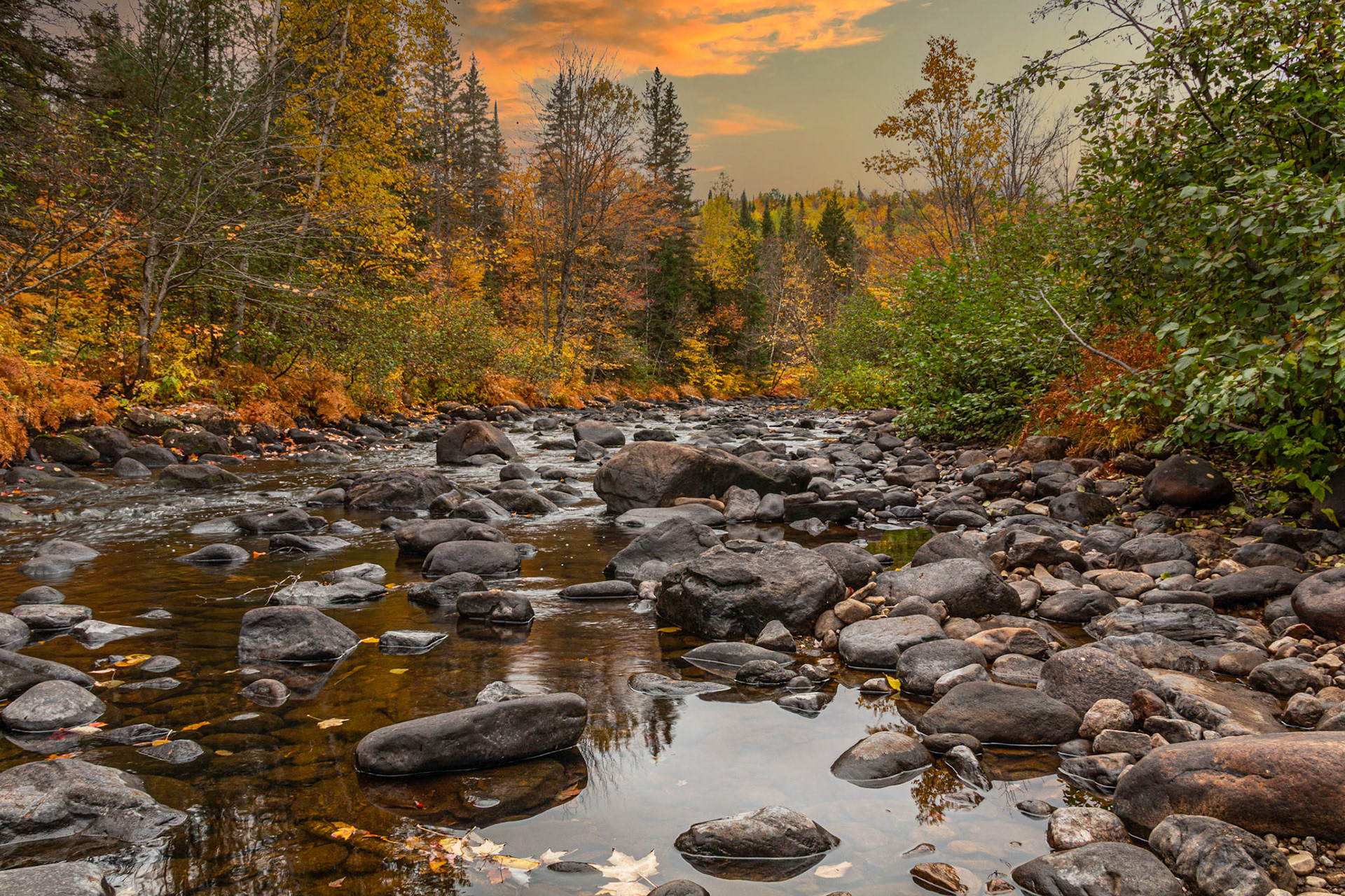 Rivière Noire