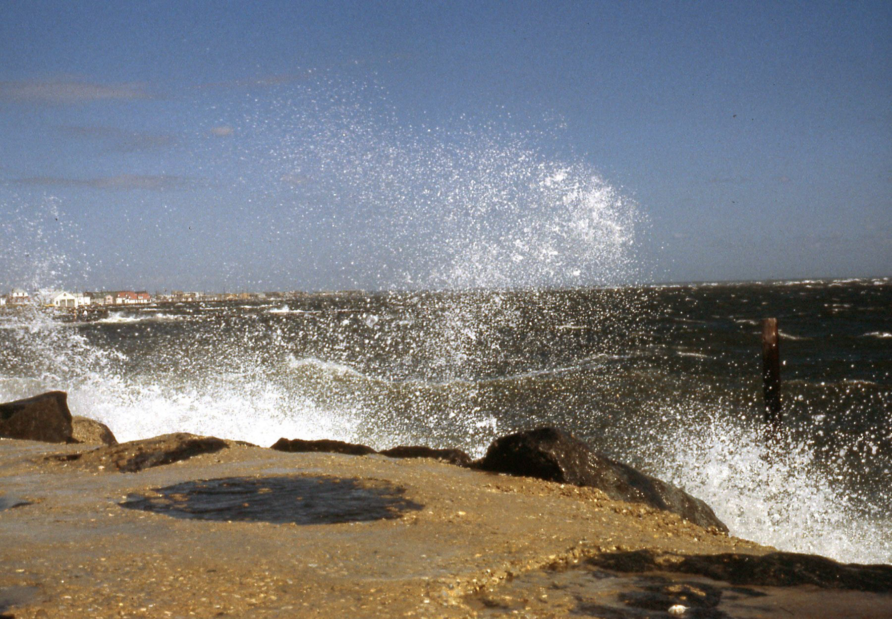 Wildwood 1981-08