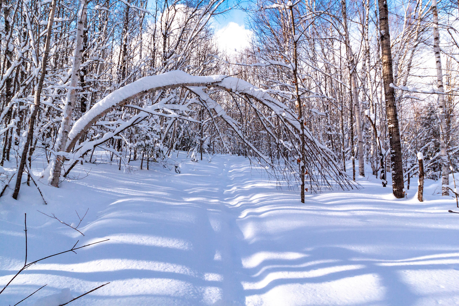 Parc Régional du Lac Taureau