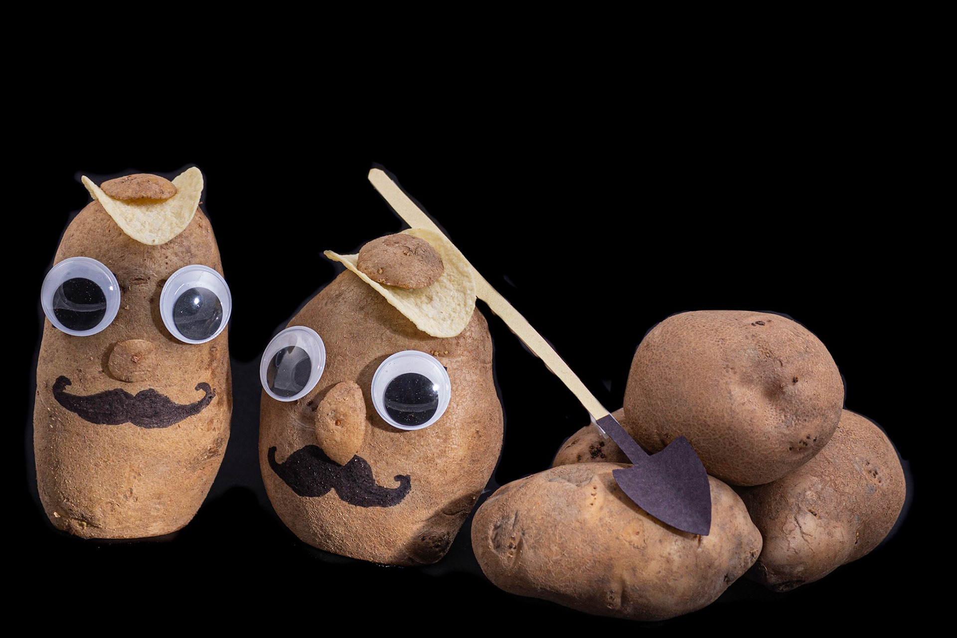 Patates au travail