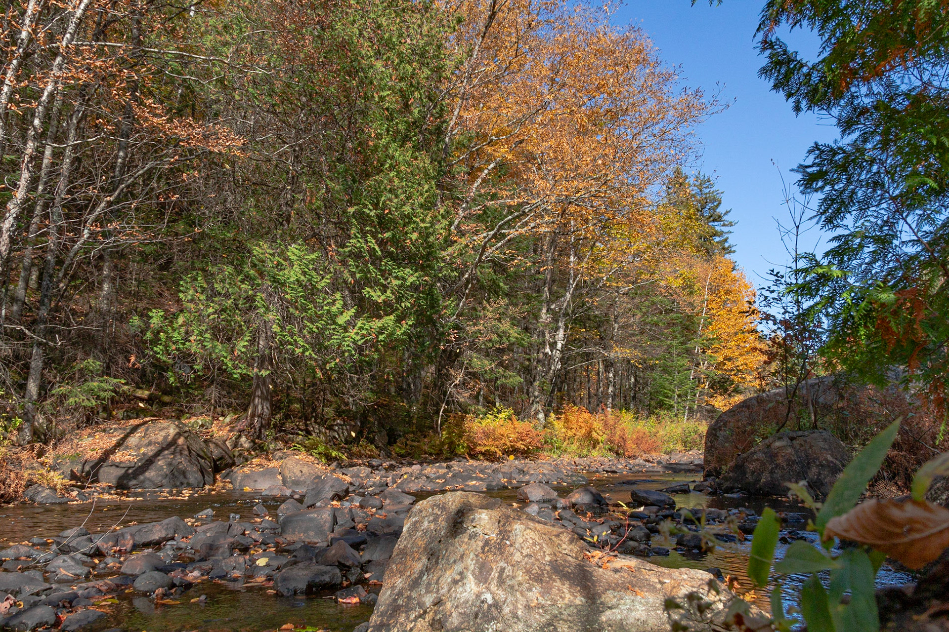 Rivière Noire